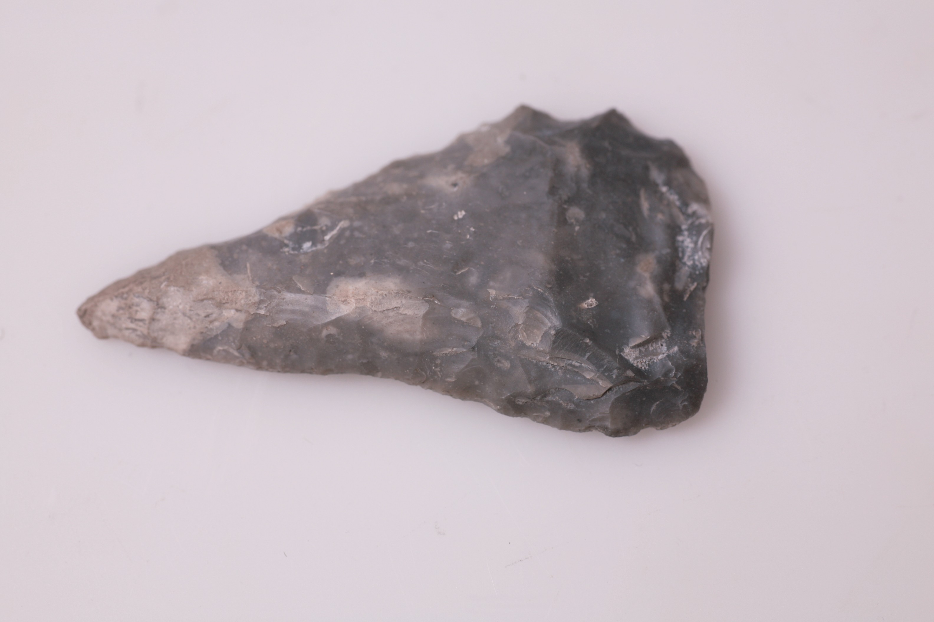 Nog een foto van  spitskling