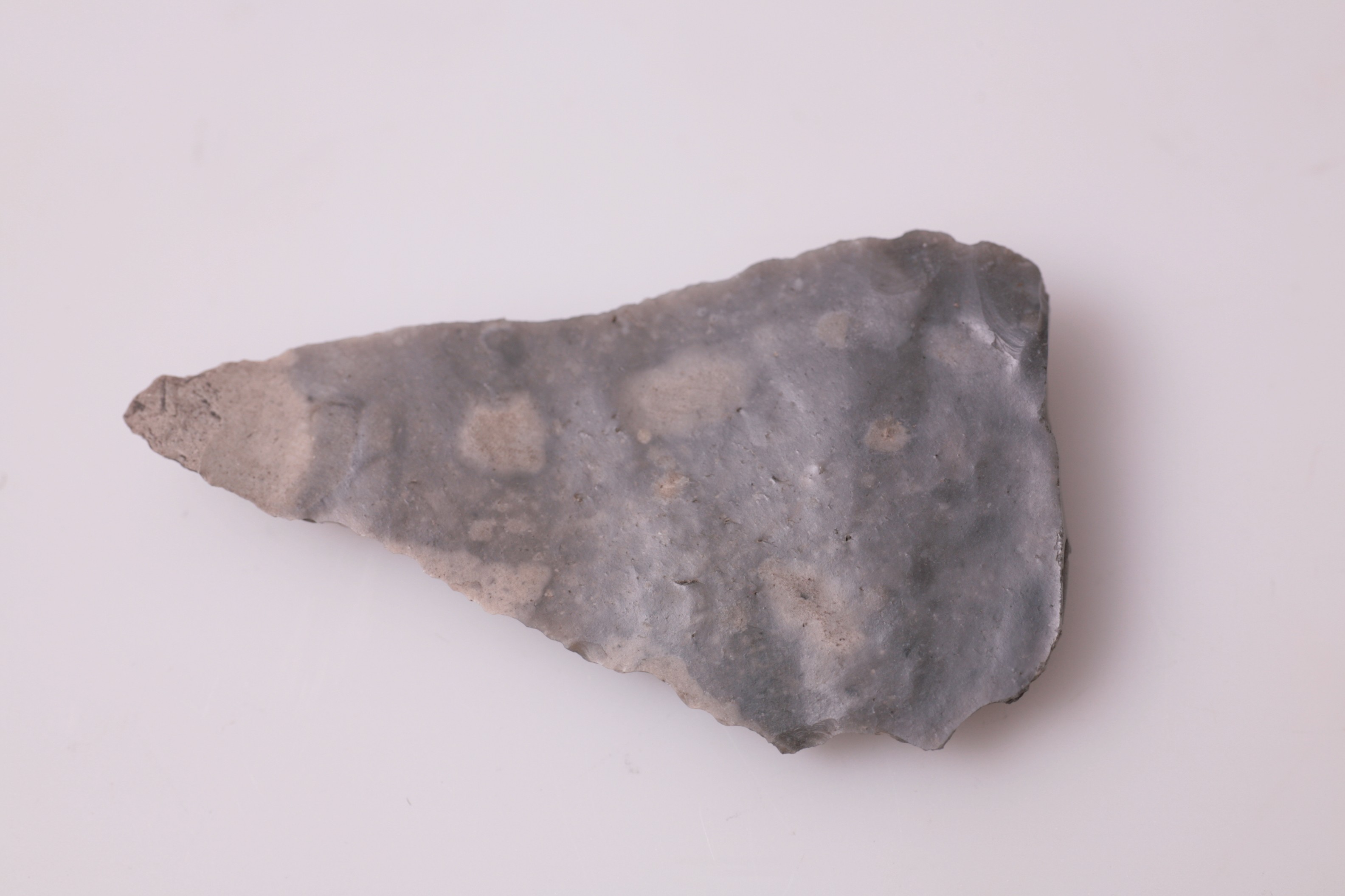 Nog een foto van  spitskling