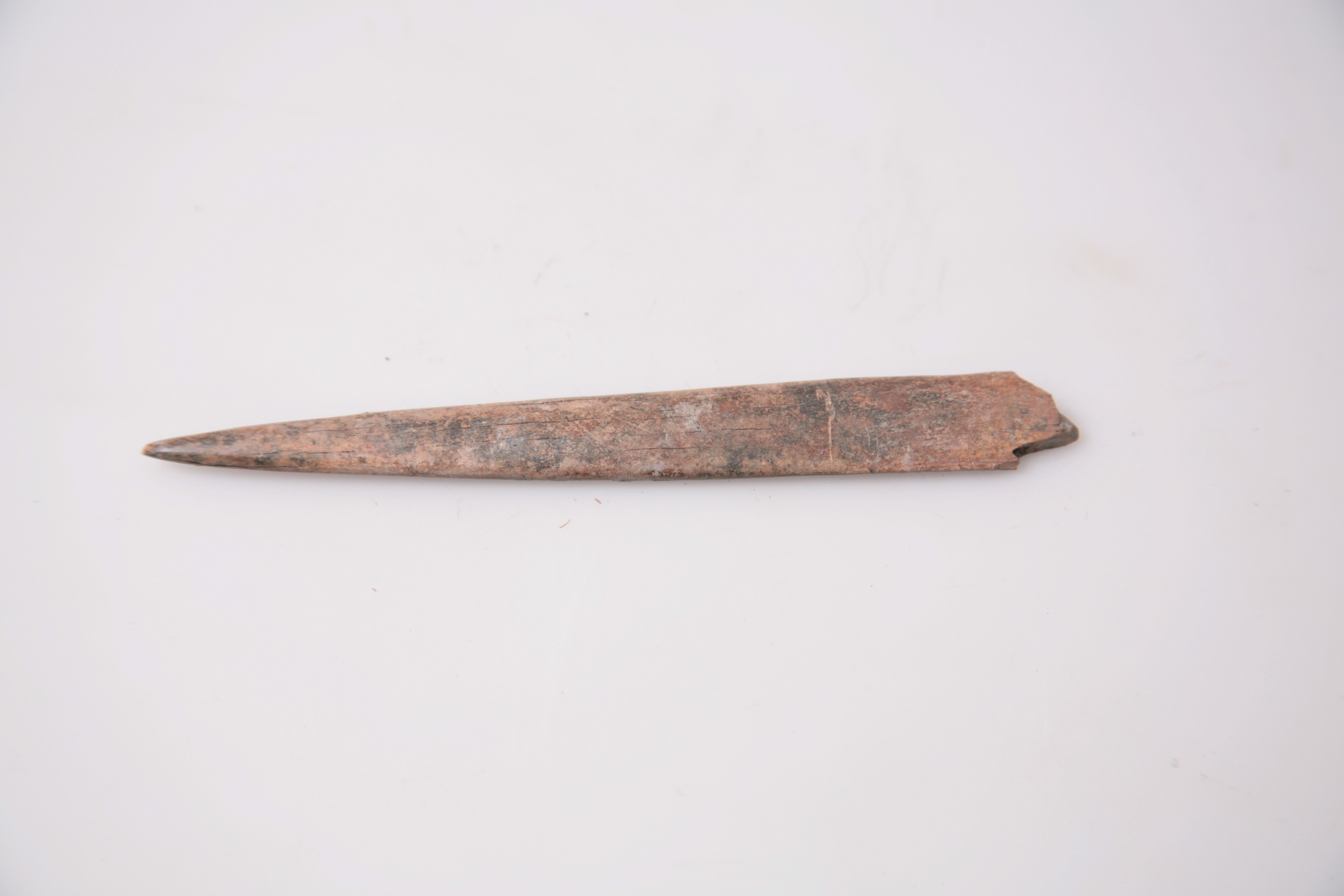 Nog een foto van  Priem/els