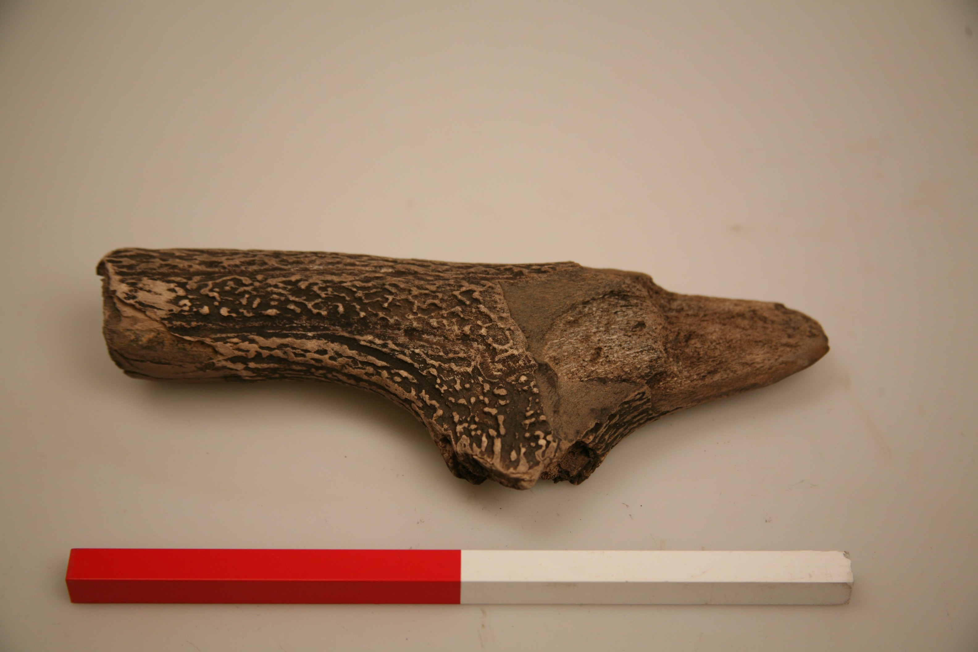 Nog een foto van  Bijl