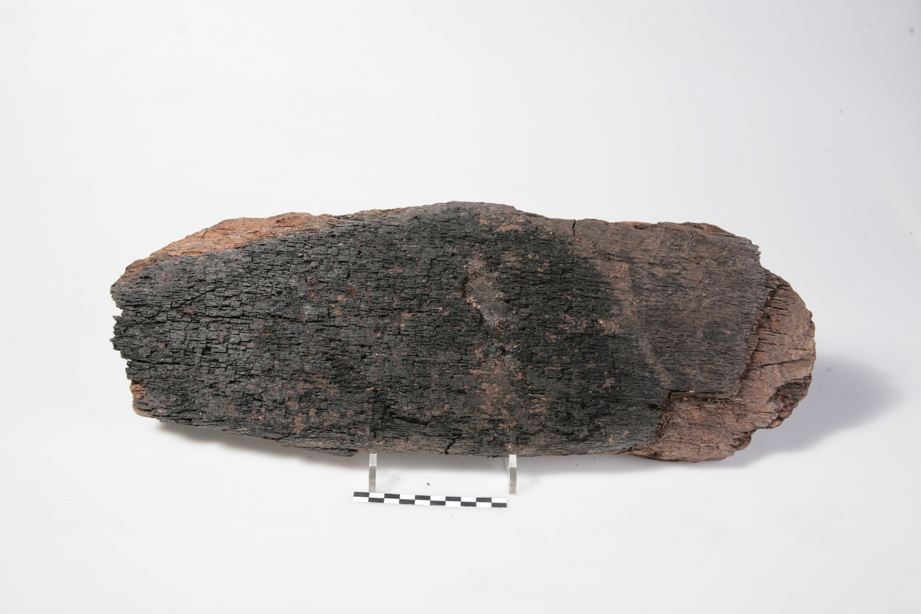 Nog een foto van  Plank