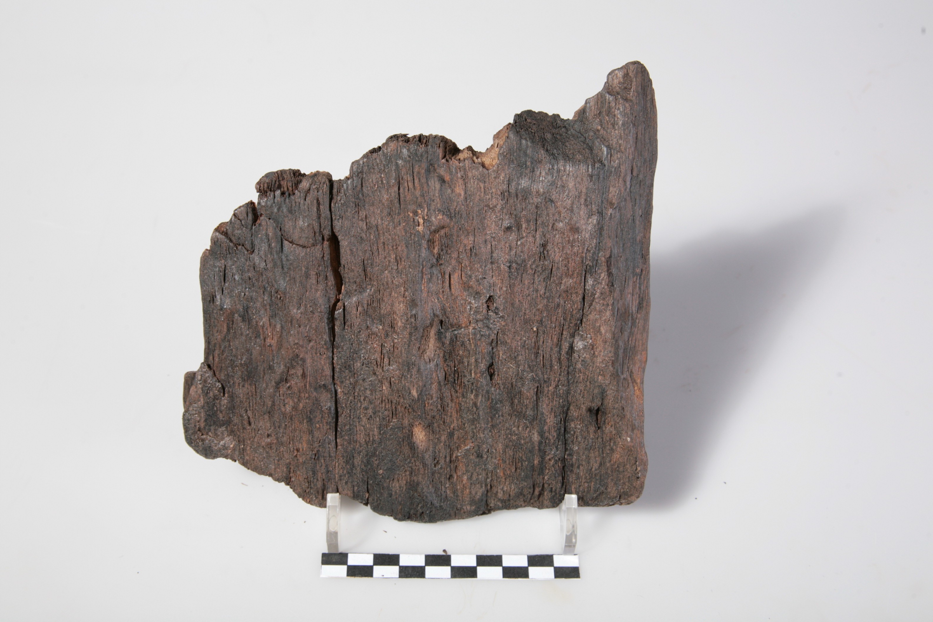 Nog een foto van  Plank