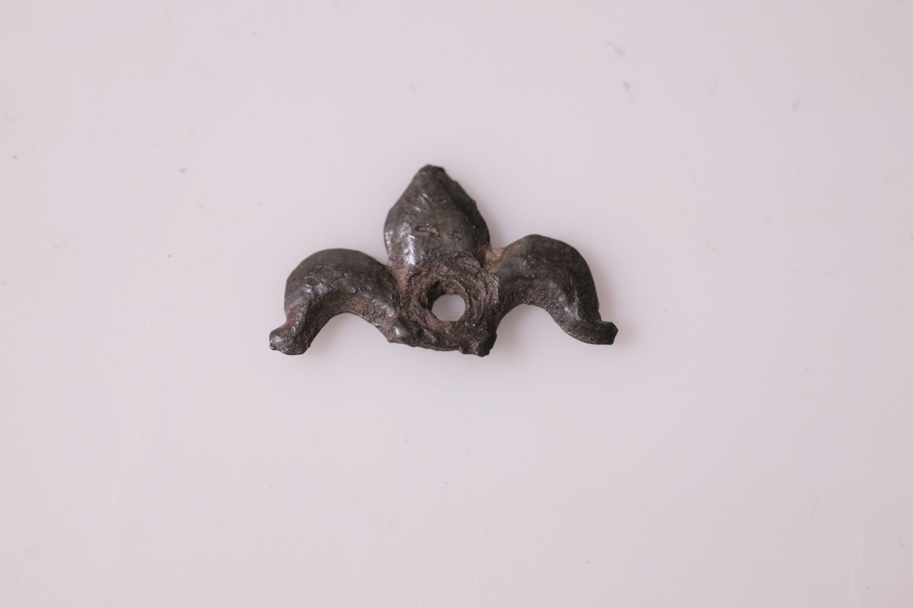 Nog een foto van  Beslag