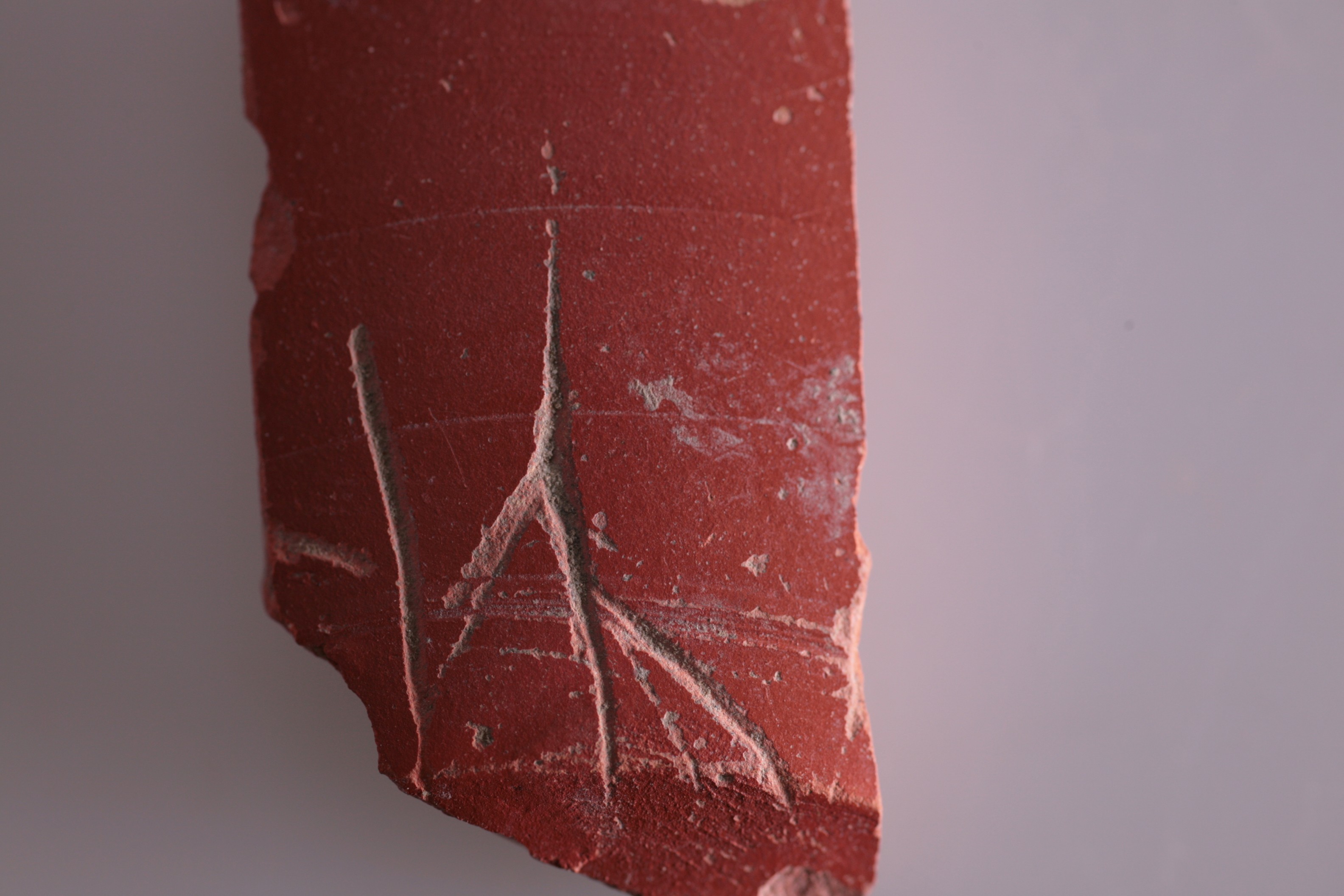 Nog een foto van  Dragendorff 18/31, Midden-Oostgallisch