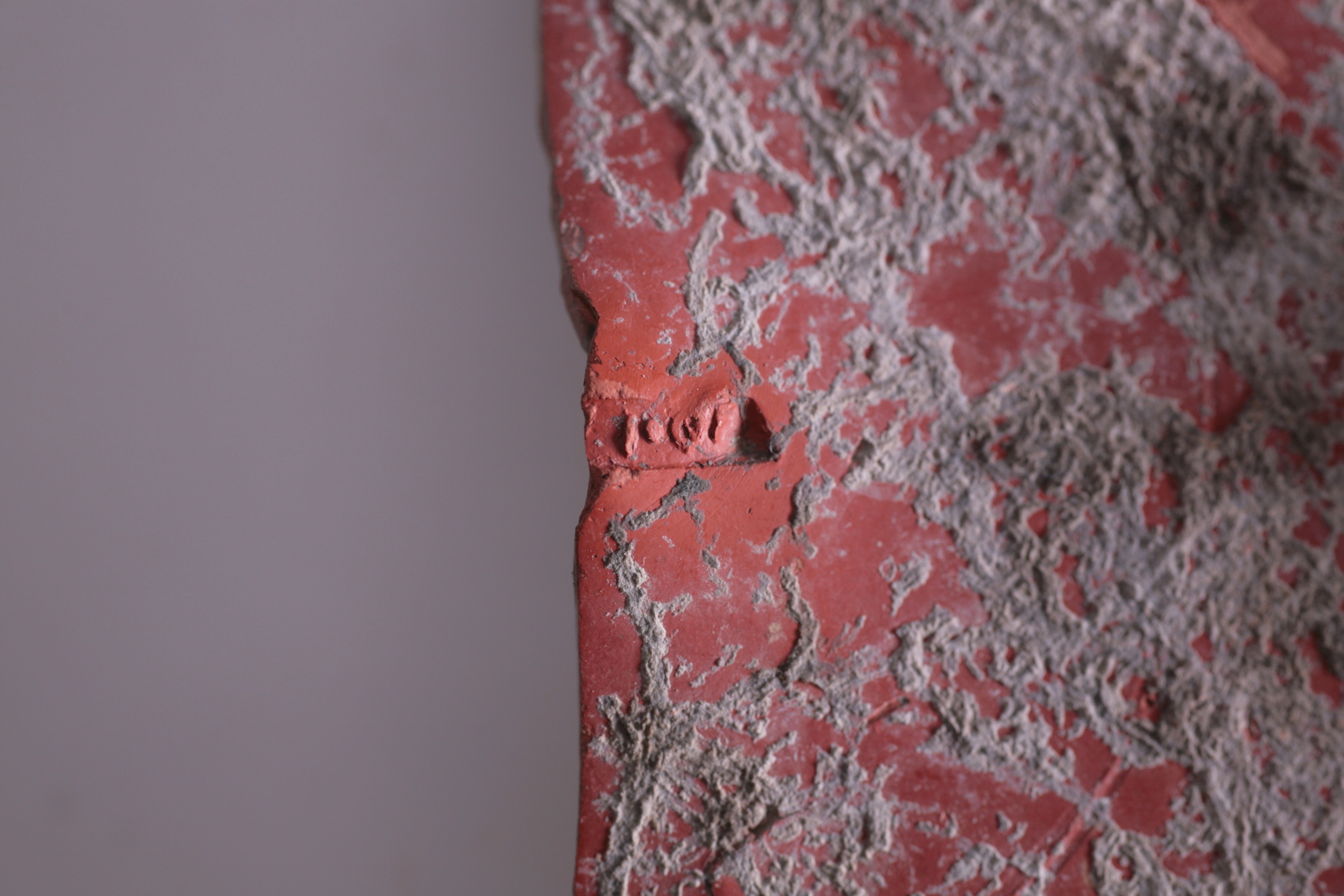 Nog een foto van  Dragendorff 18/31, Midden-Oostgallisch