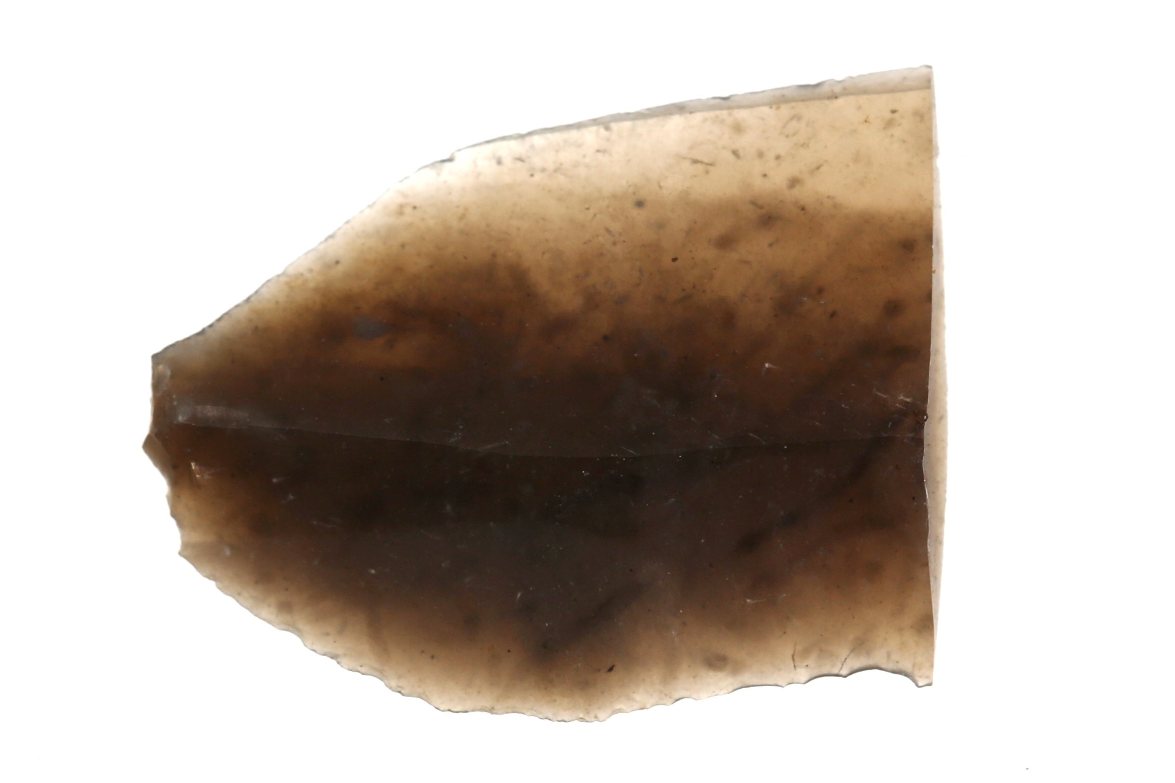 Nog een foto van  Spits