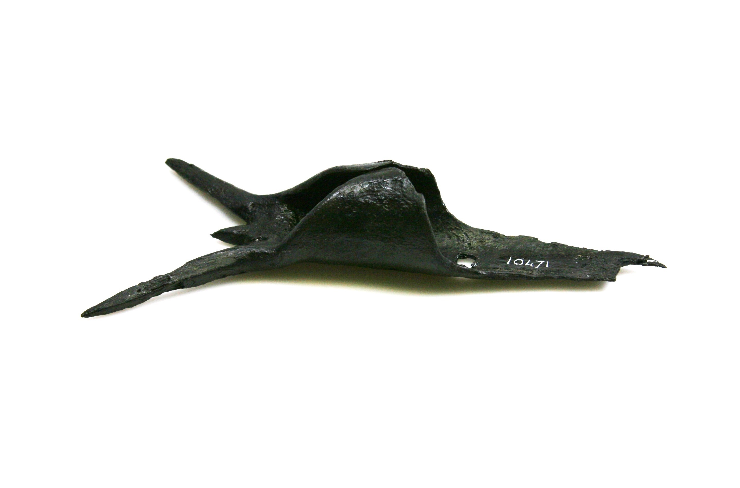 Nog een foto van  Haak