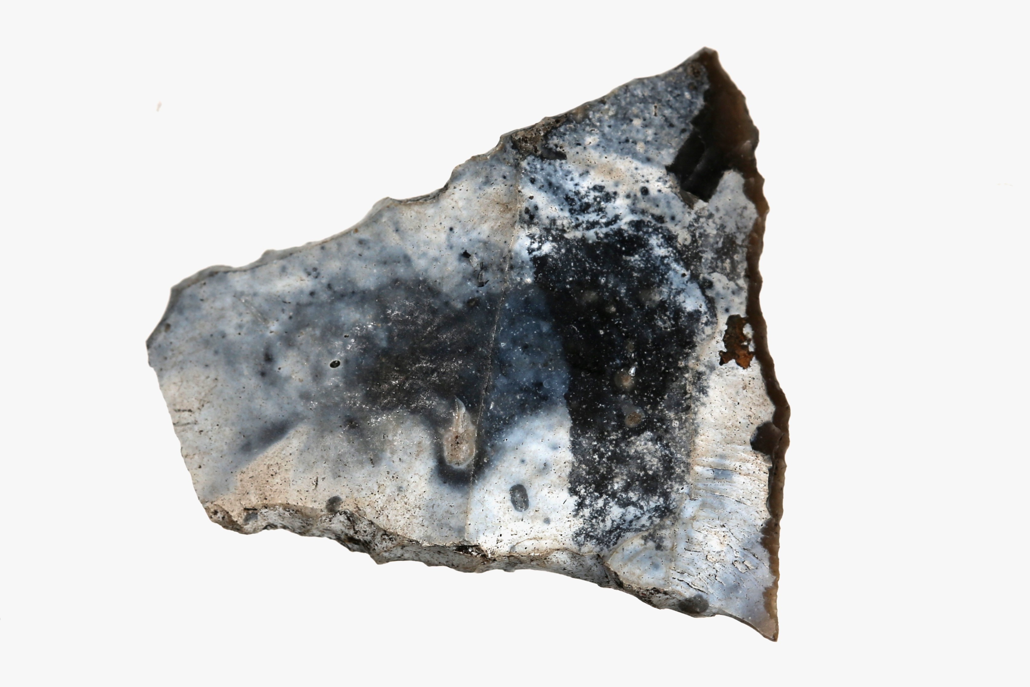 Foto van transversale spits