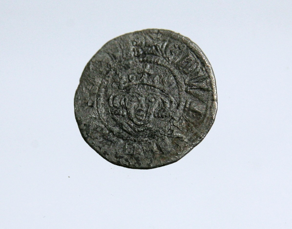 Foto van penning/penny