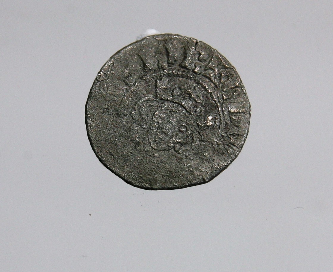 Foto van penning/penny