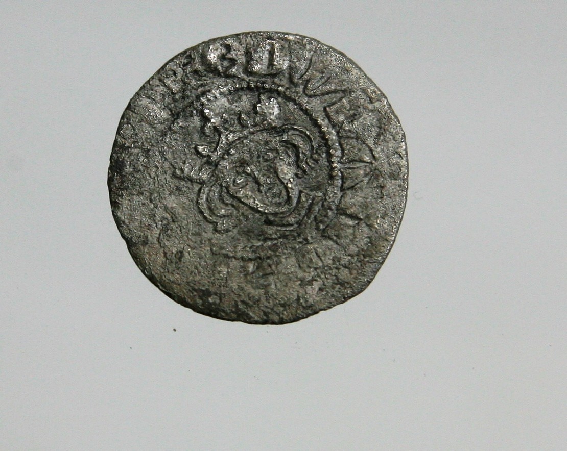 Foto van penning/penny