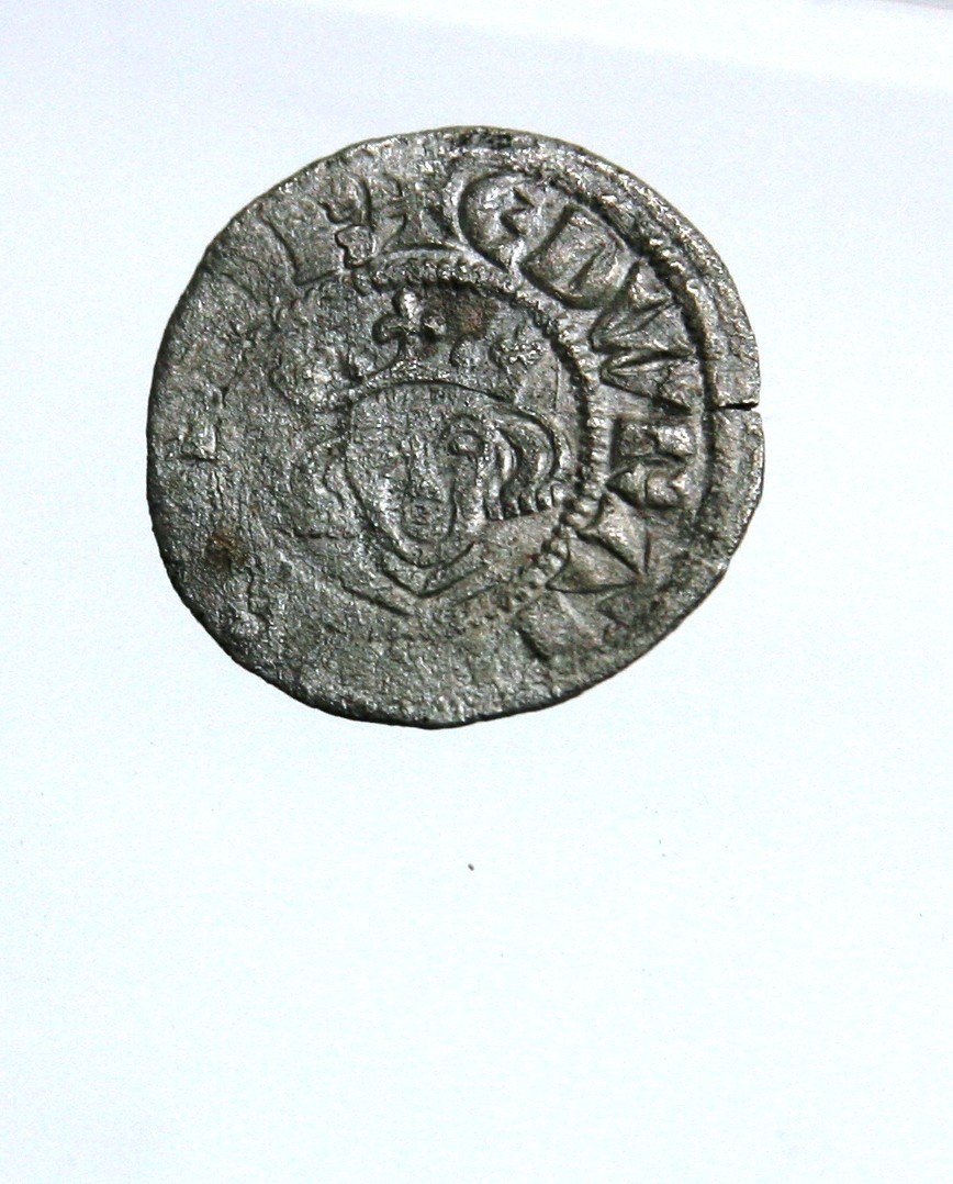 Foto van penning/penny