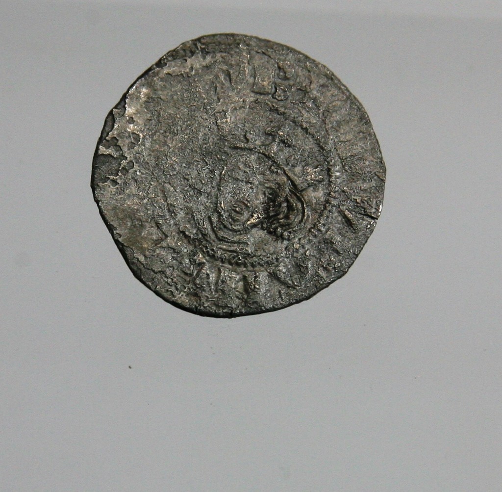 Foto van penning/penny