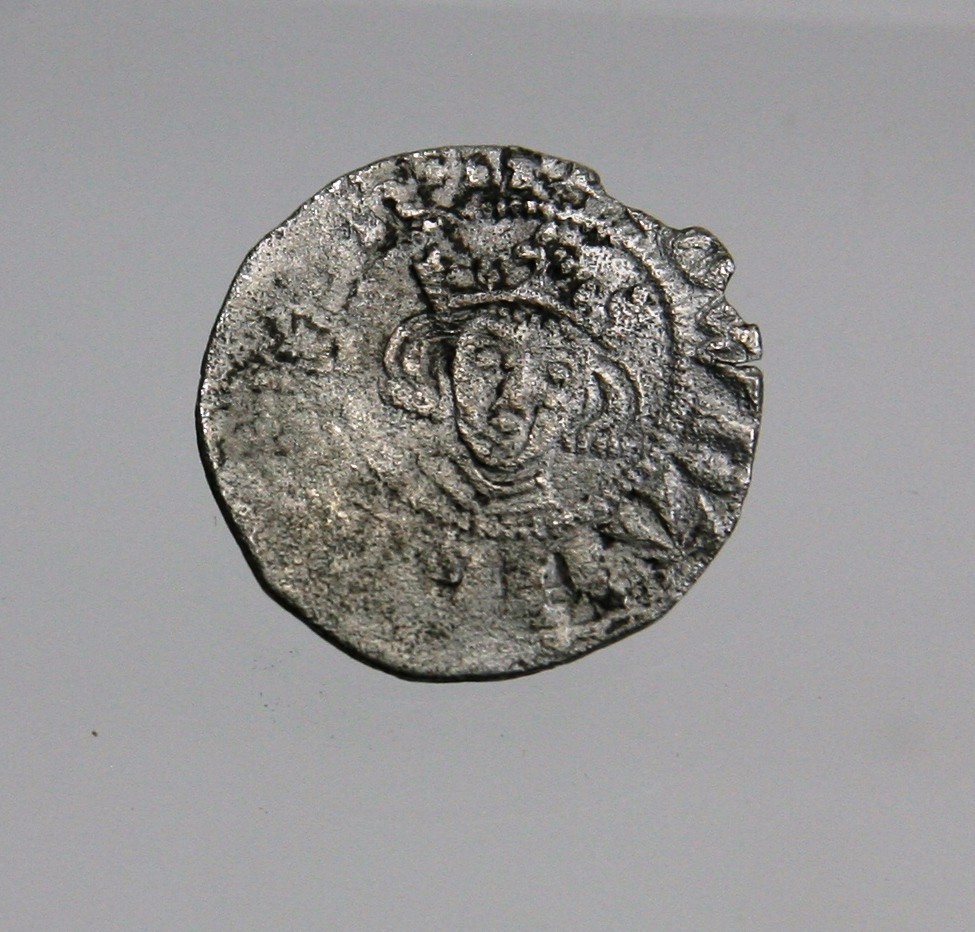 Foto van penning/penny