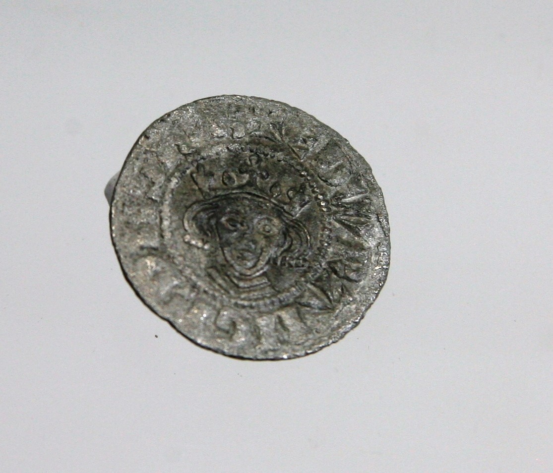 Foto van penning/penny