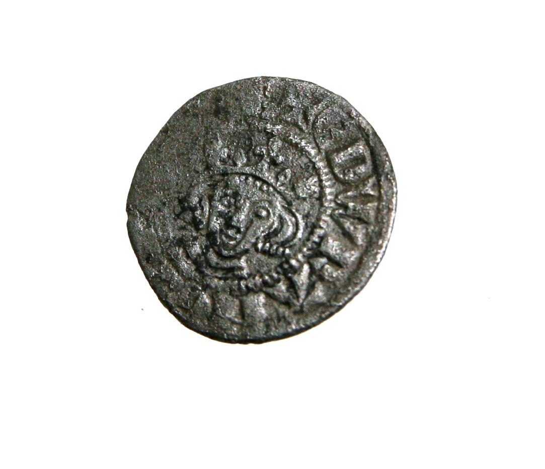 Foto van penning/penny