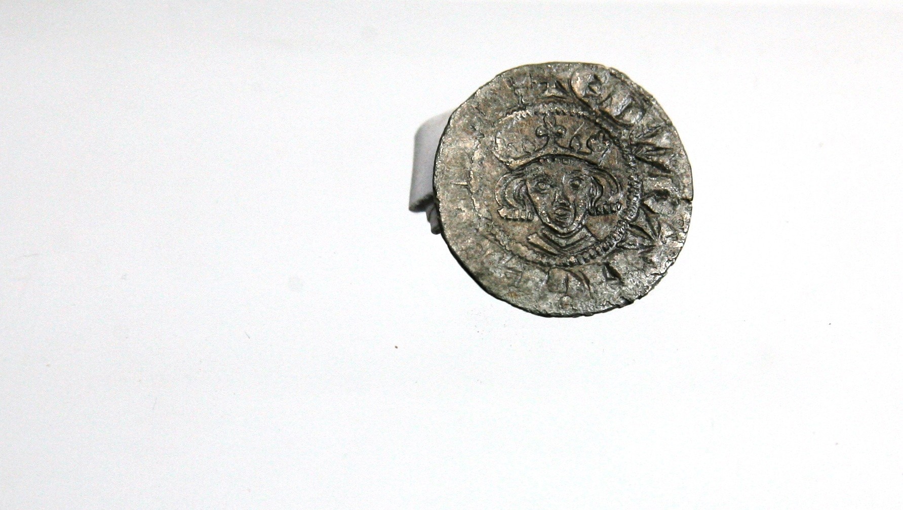 Foto van penning/penny