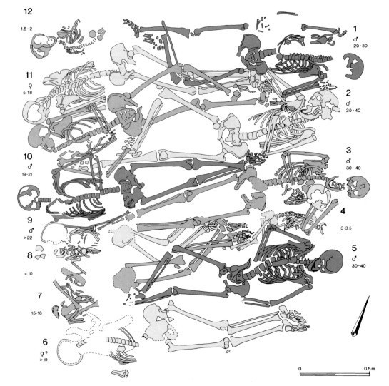 Nog een foto van  Bot
