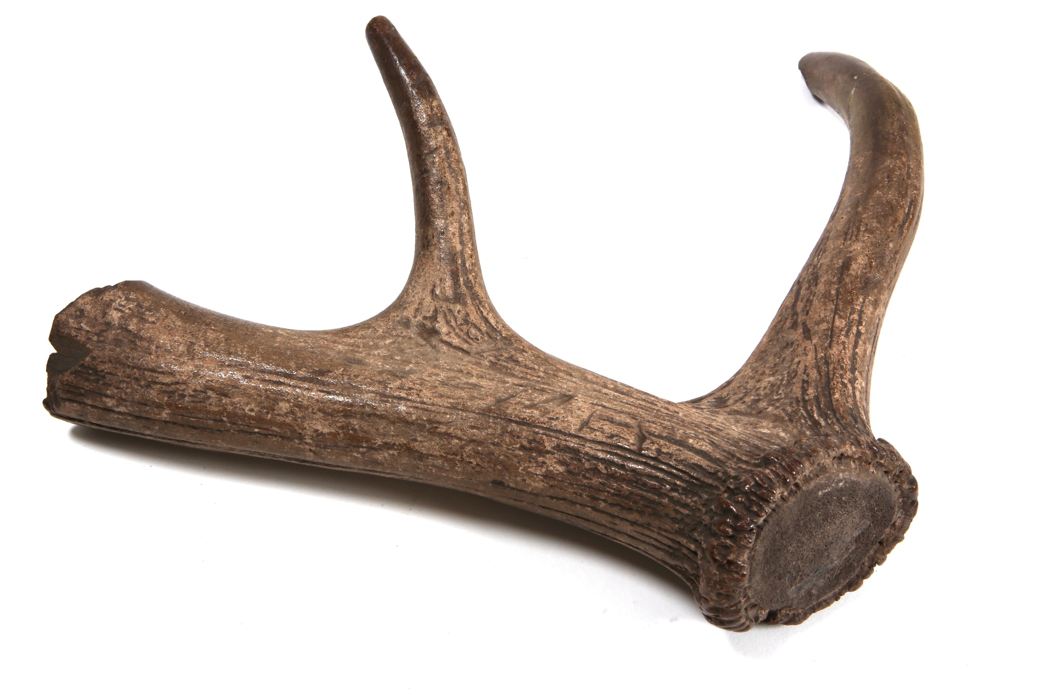 Foto van Werktuig/gereedschap (onderdeel)