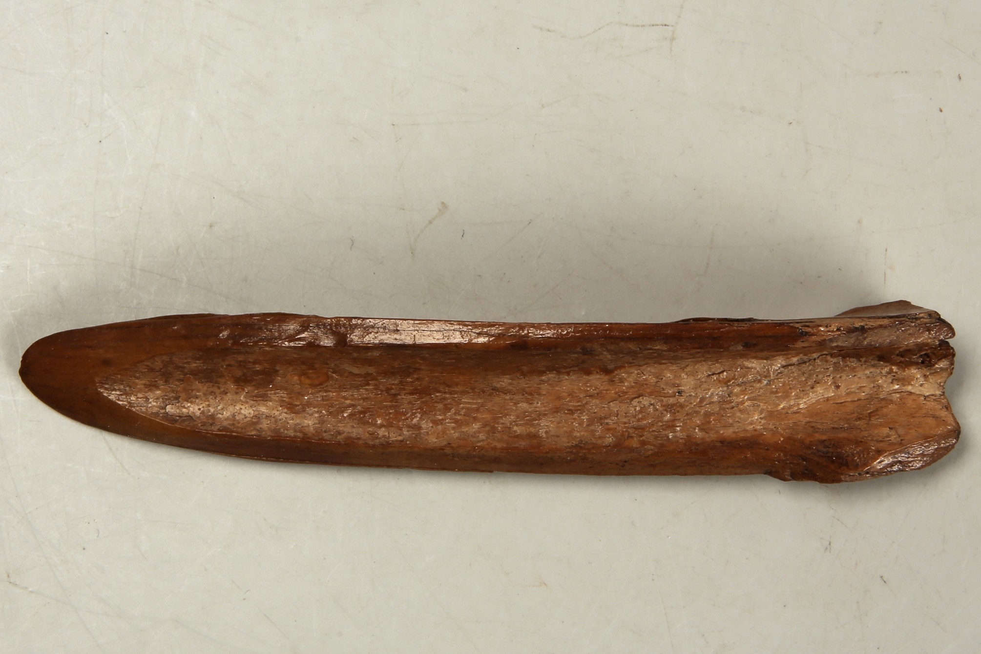 Nog een foto van  Spatel