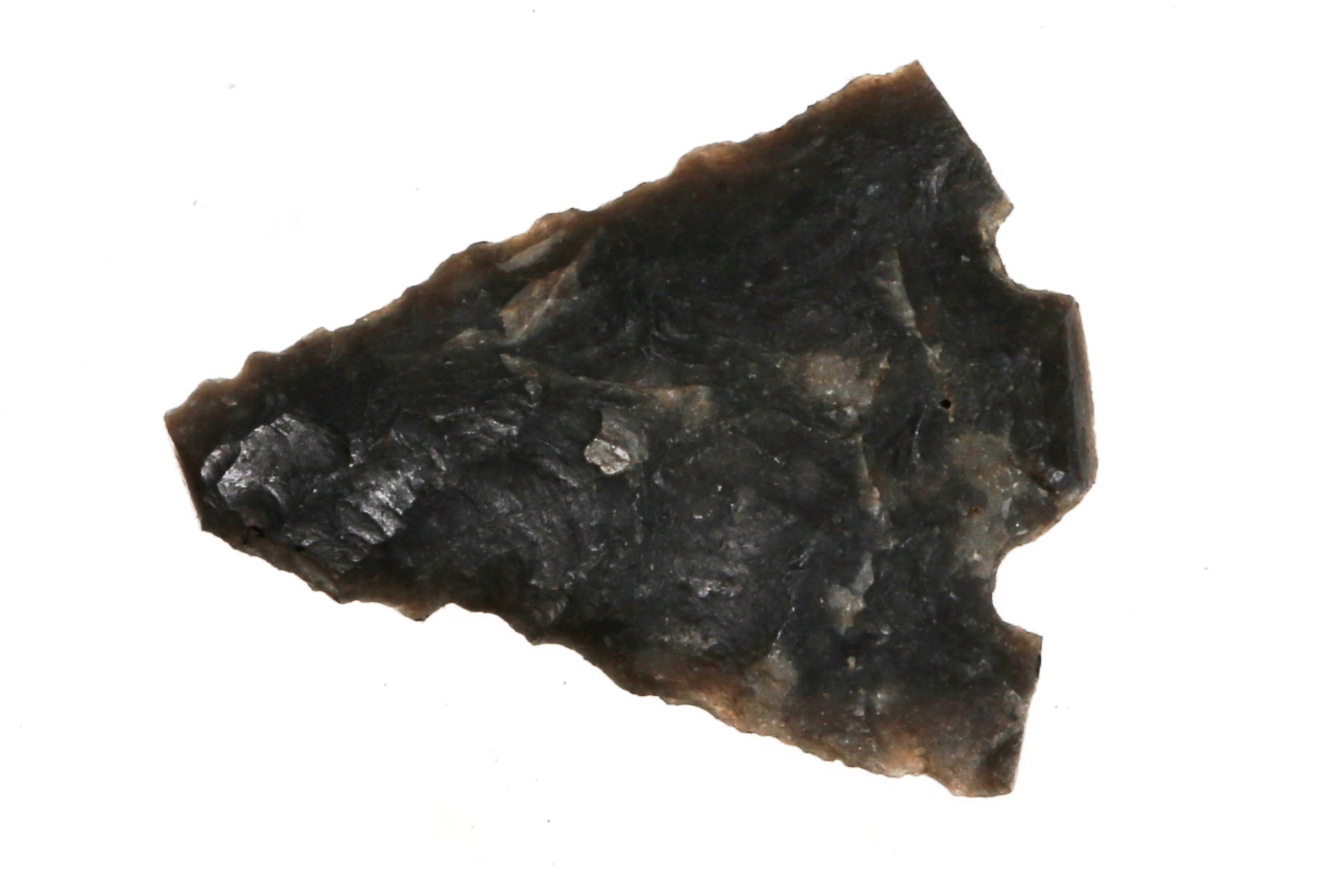 Foto van schachtdoorn en weerhaken