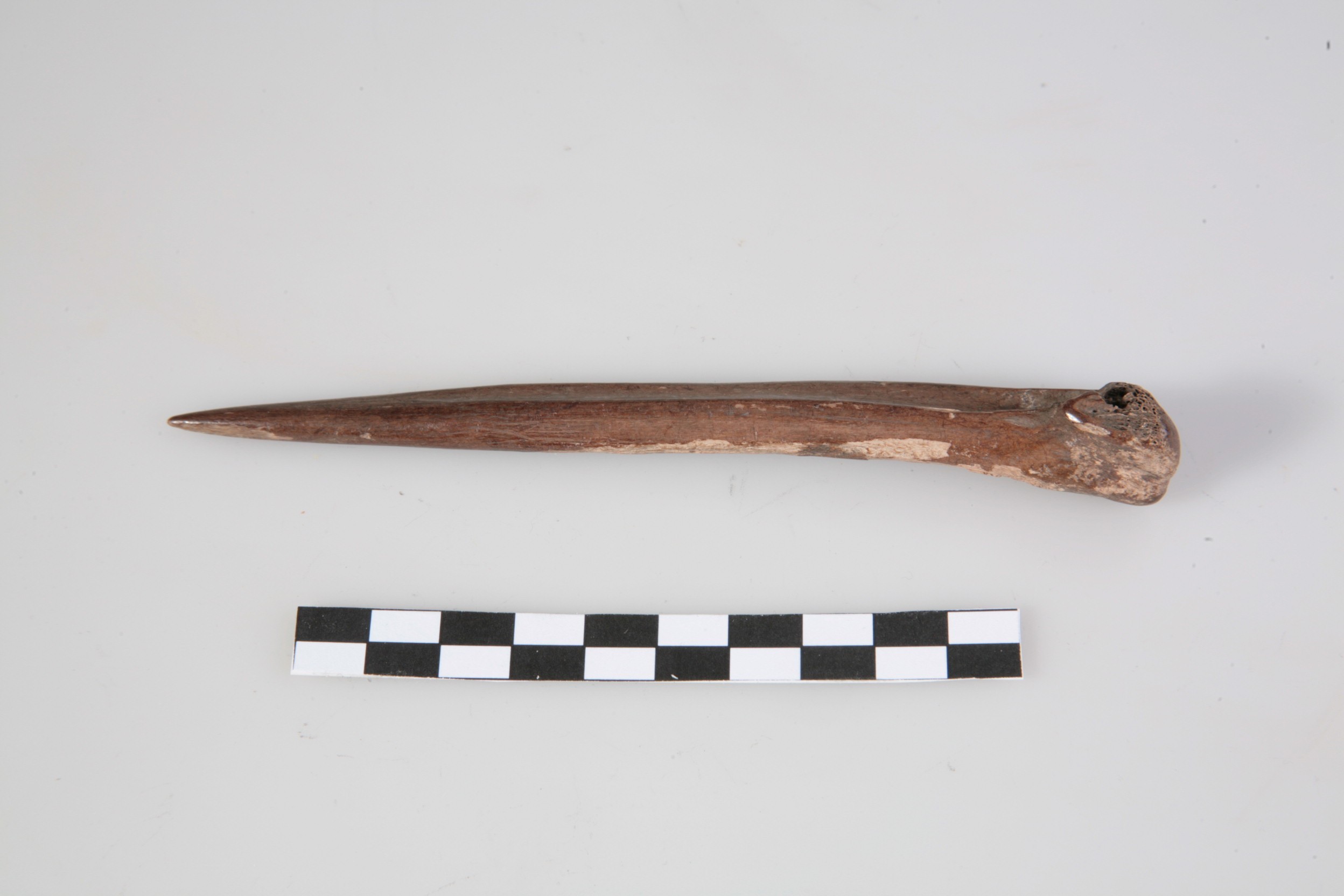 Nog een foto van  Priem/els