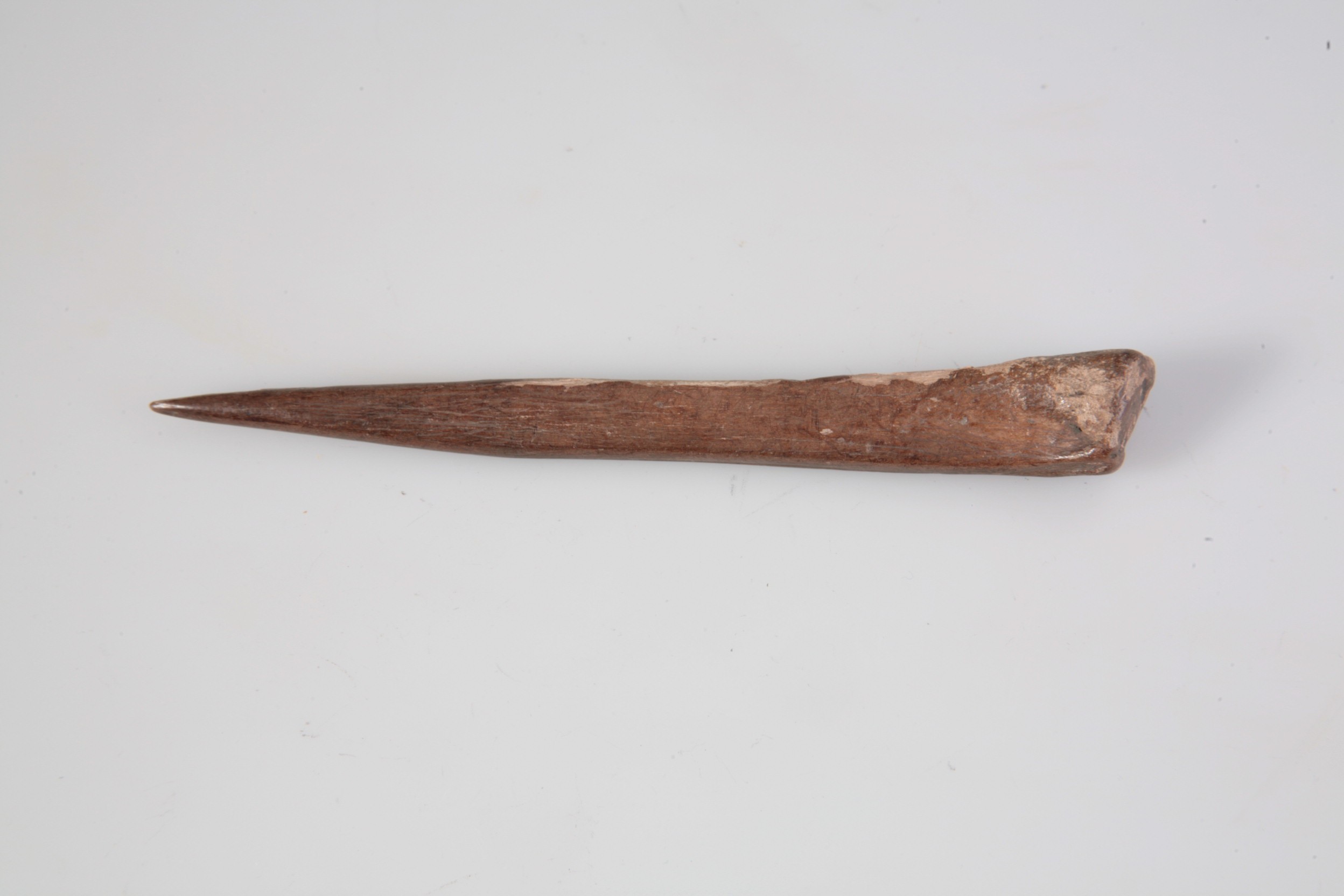 Nog een foto van  Priem/els