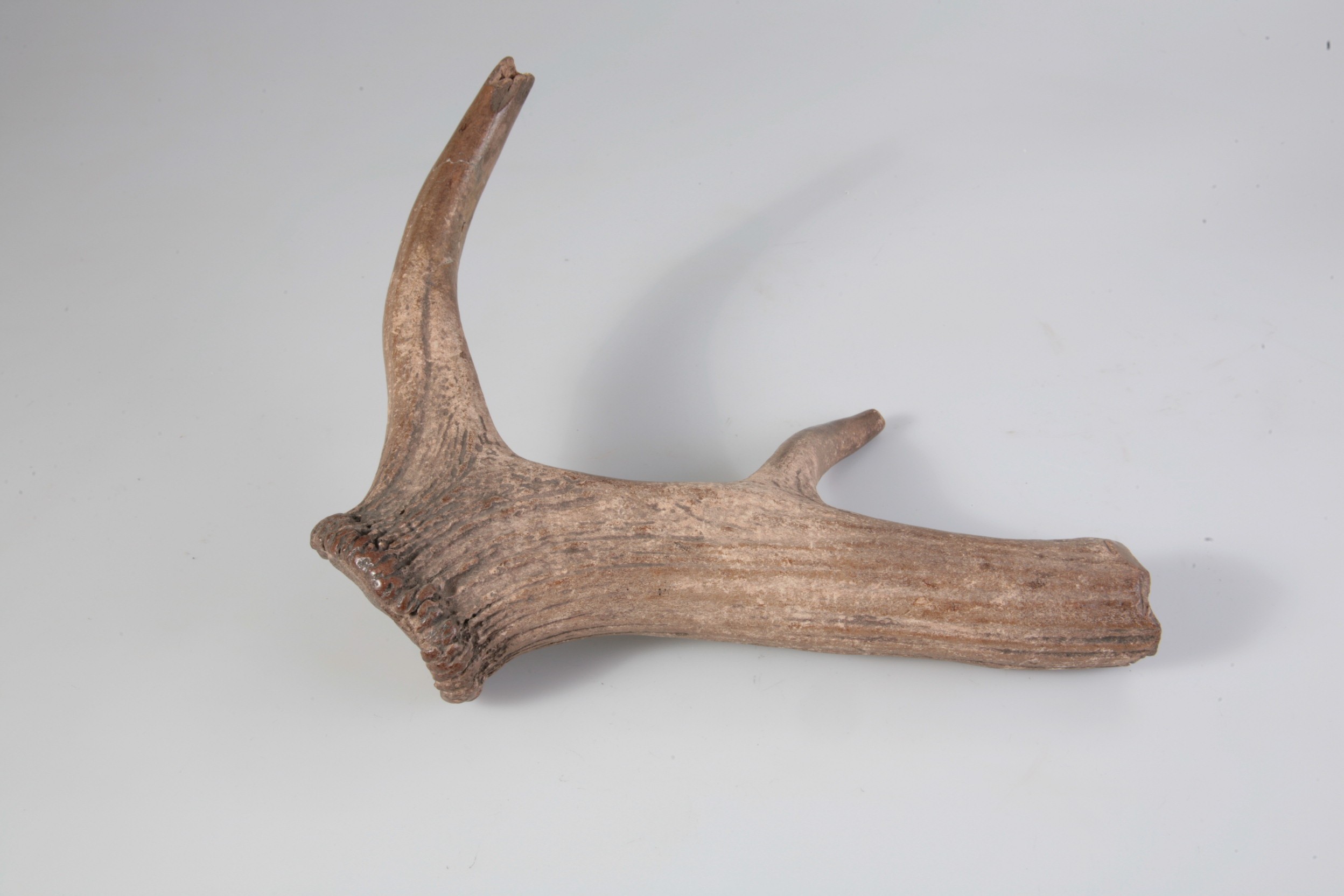 Nog een foto van  Werktuig/gereedschap (onderdeel)