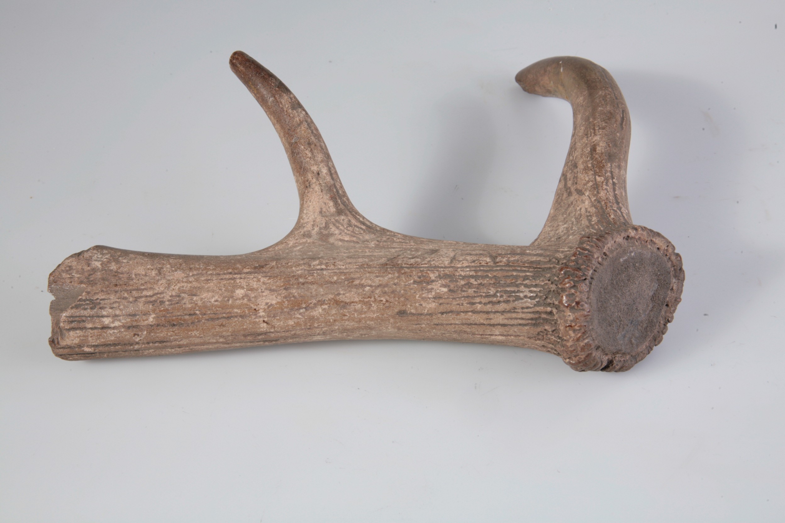 Nog een foto van  Werktuig/gereedschap (onderdeel)