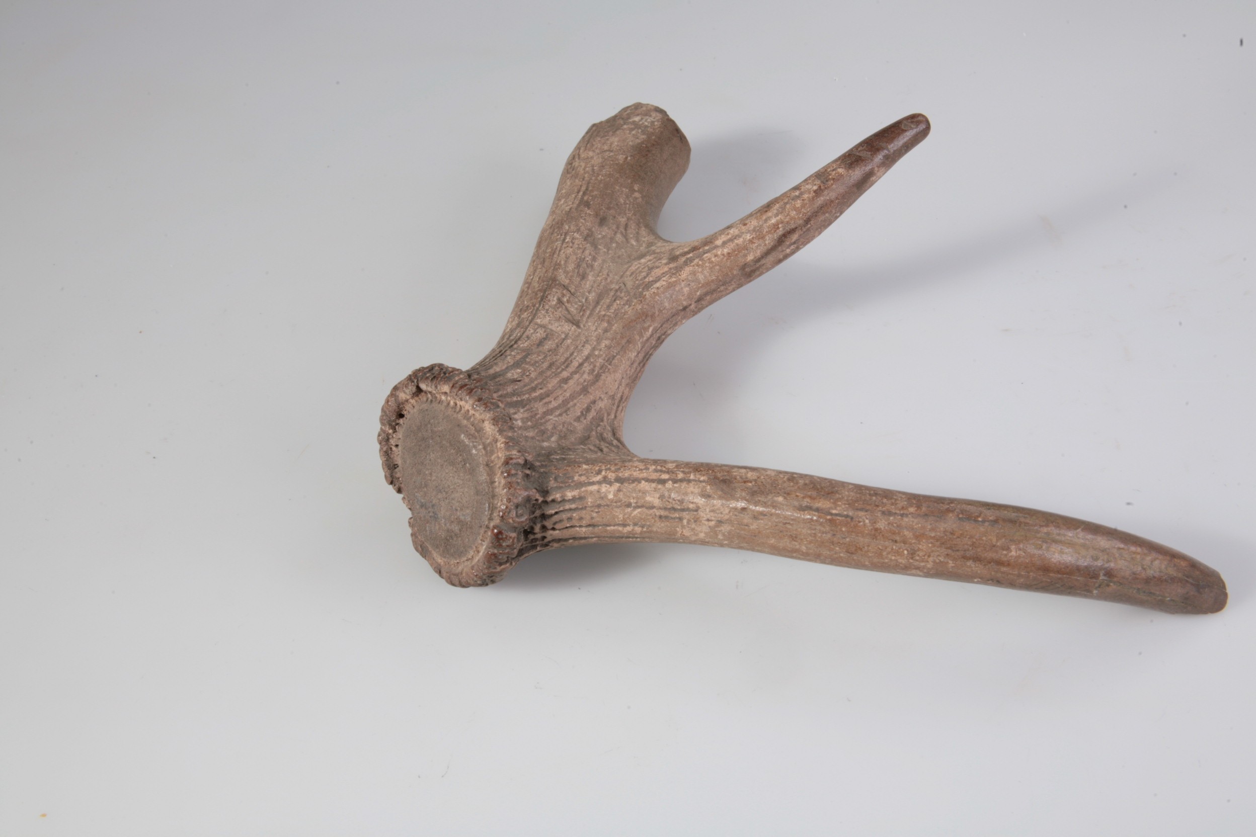 Nog een foto van  Werktuig/gereedschap (onderdeel)