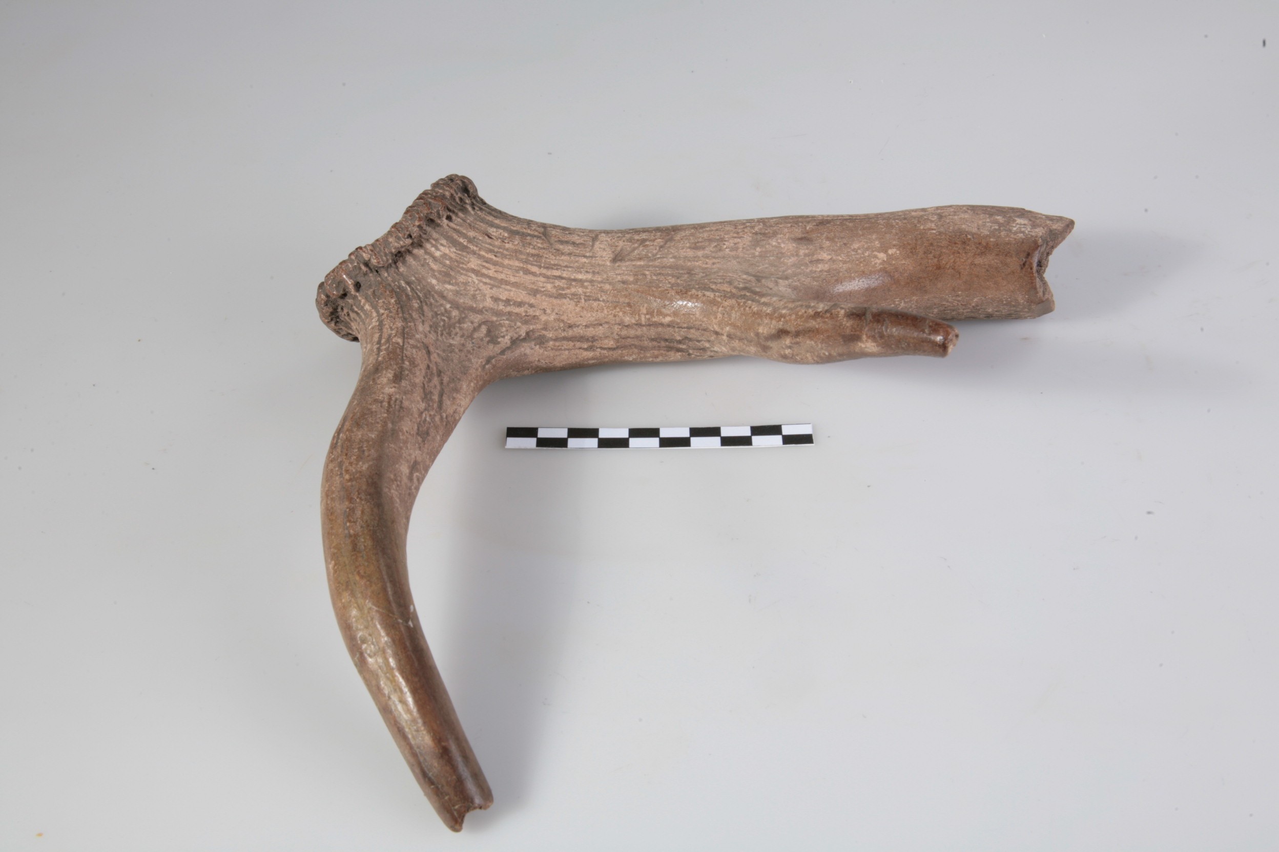 Nog een foto van  Werktuig/gereedschap (onderdeel)