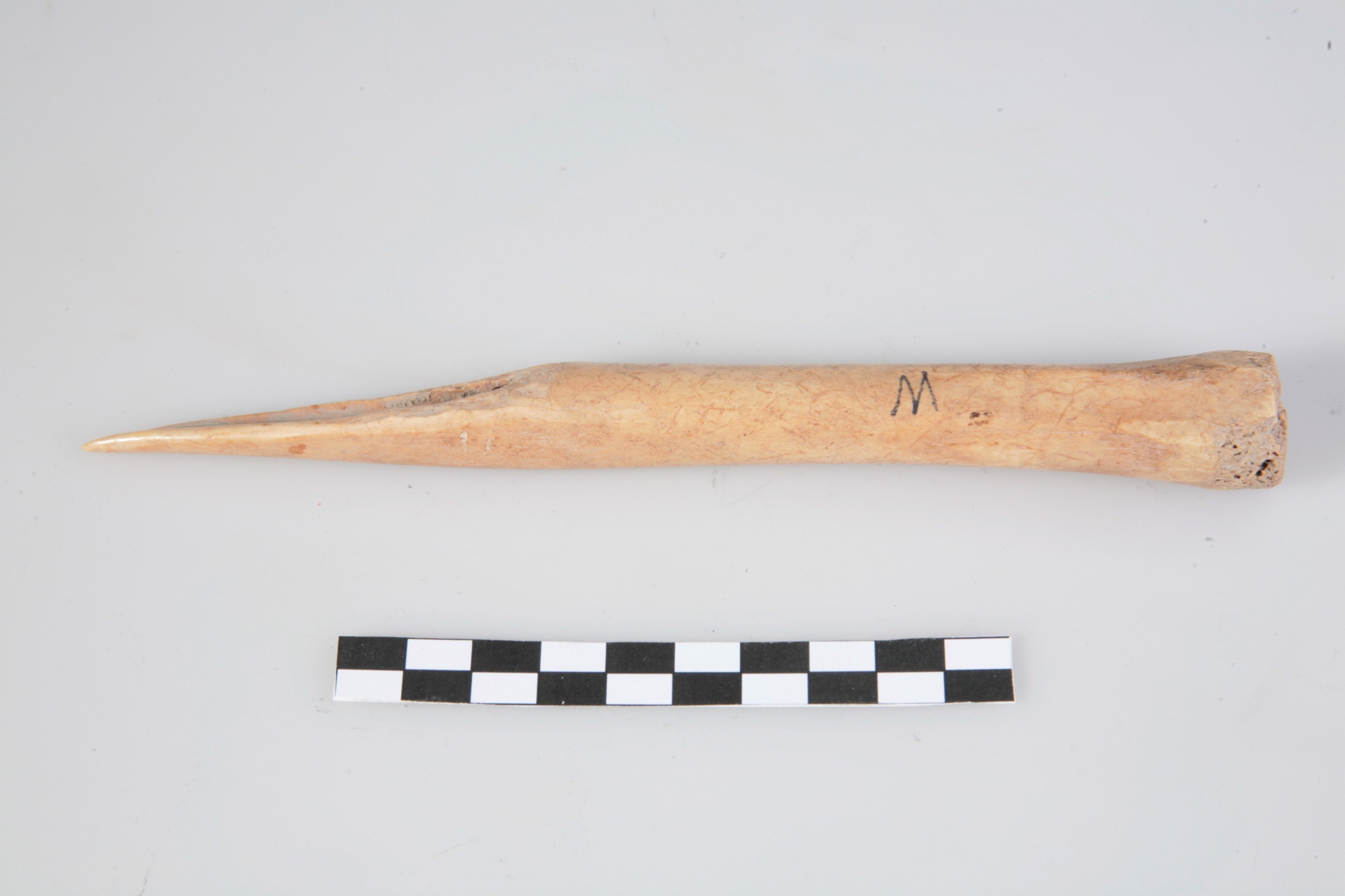 Nog een foto van  Priem/els