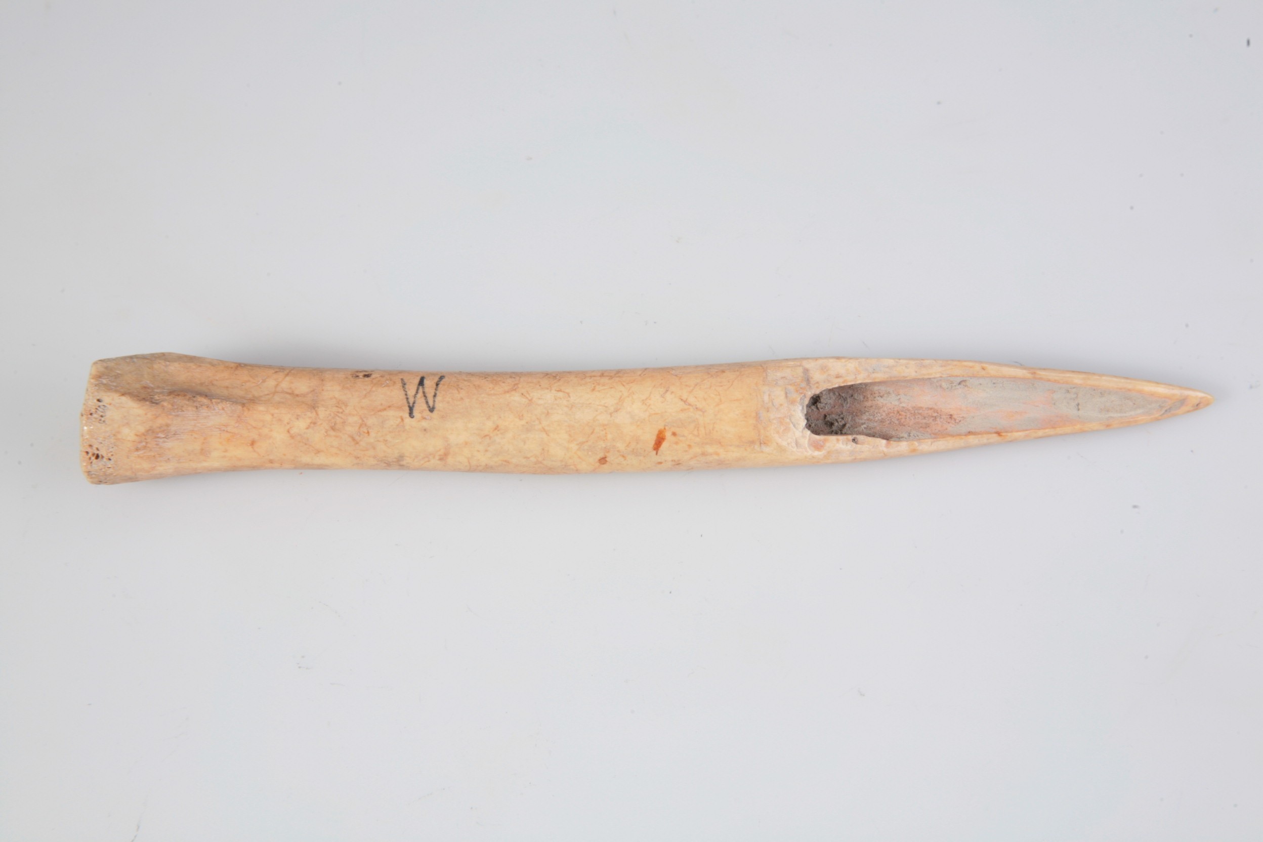 Nog een foto van  Priem/els