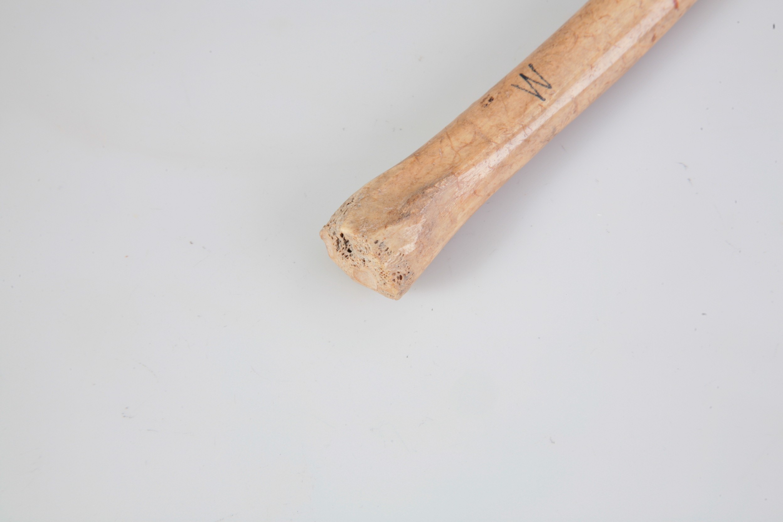 Nog een foto van  Priem/els