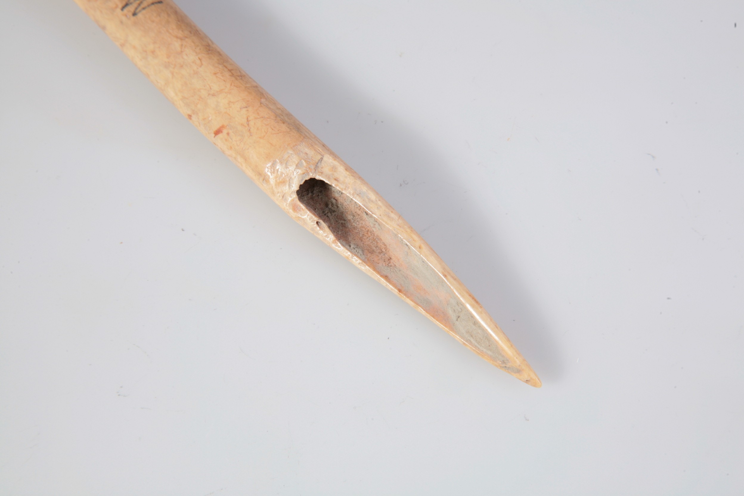 Nog een foto van  Priem/els