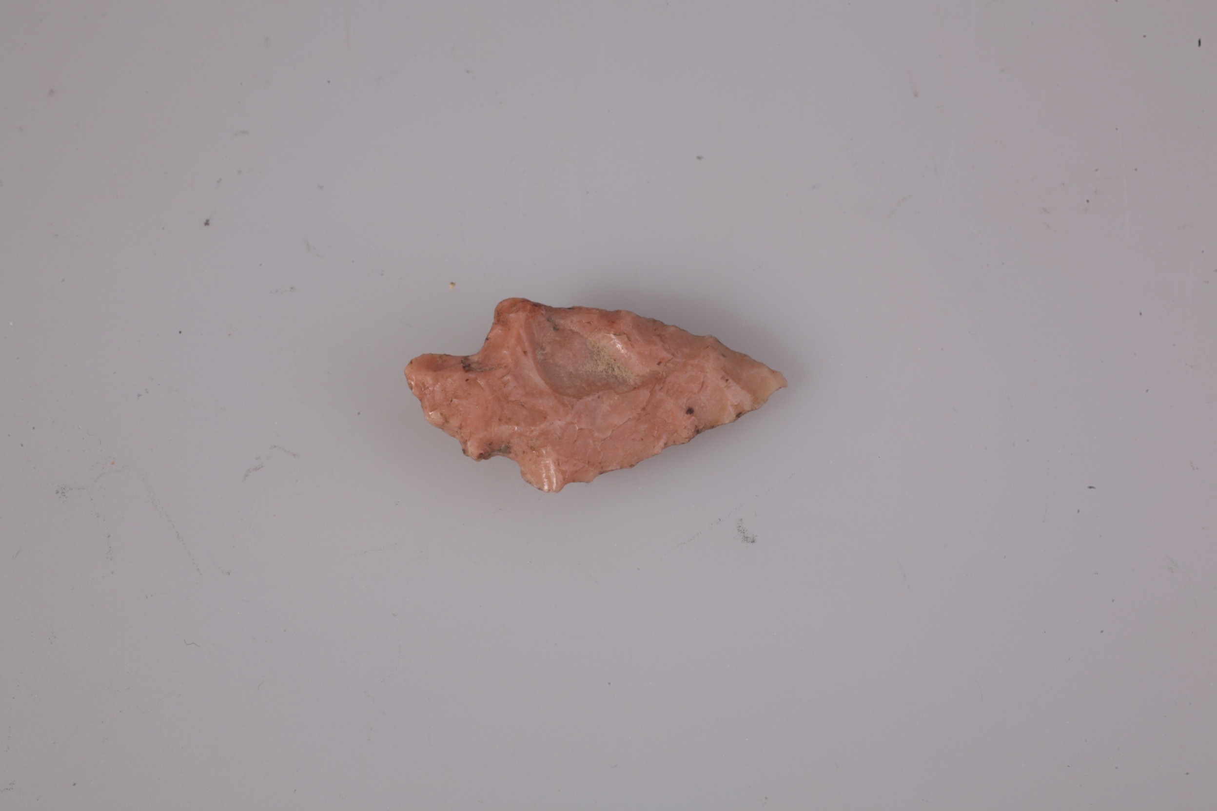 Nog een foto van  Spits