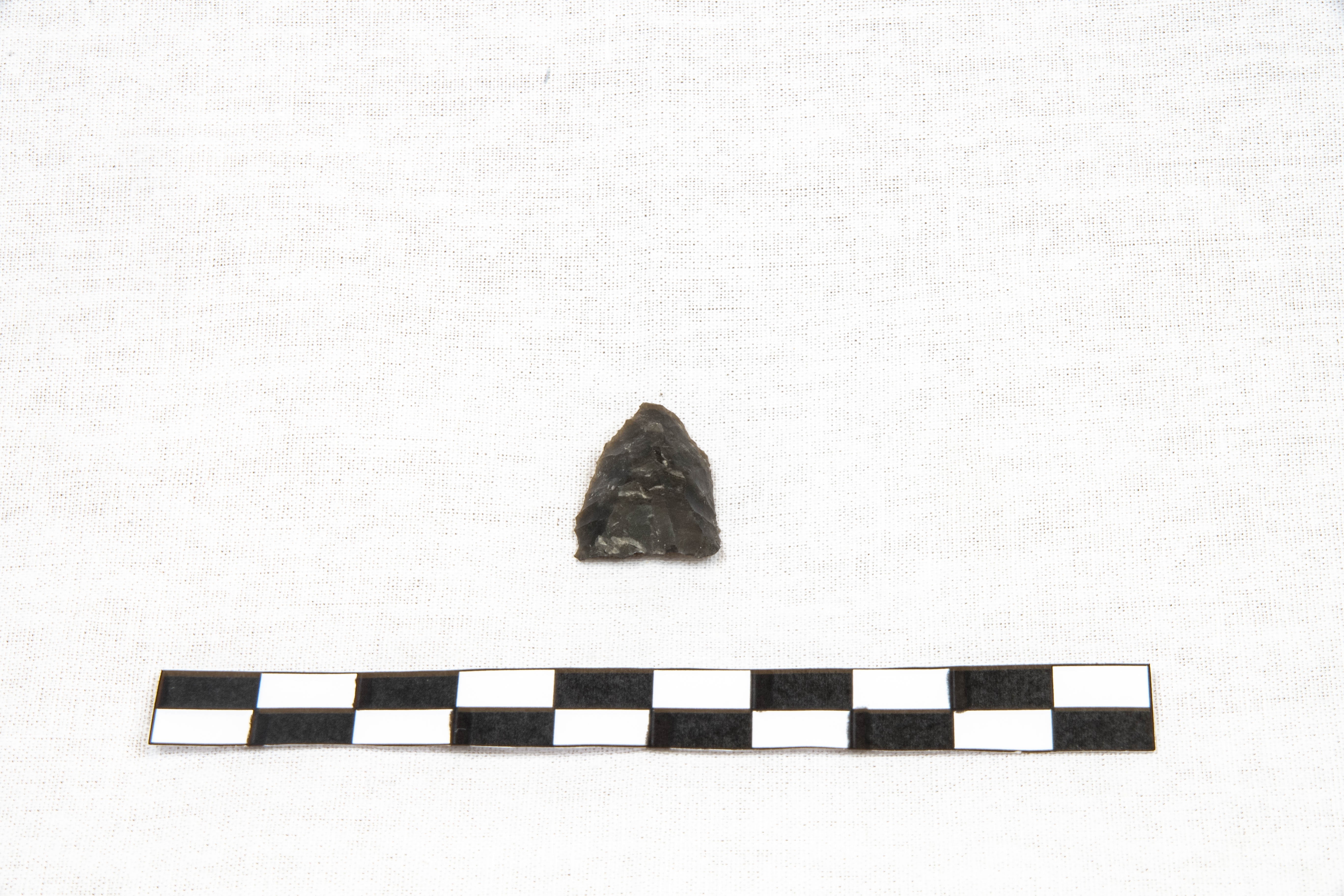 Nog een foto van  Spits