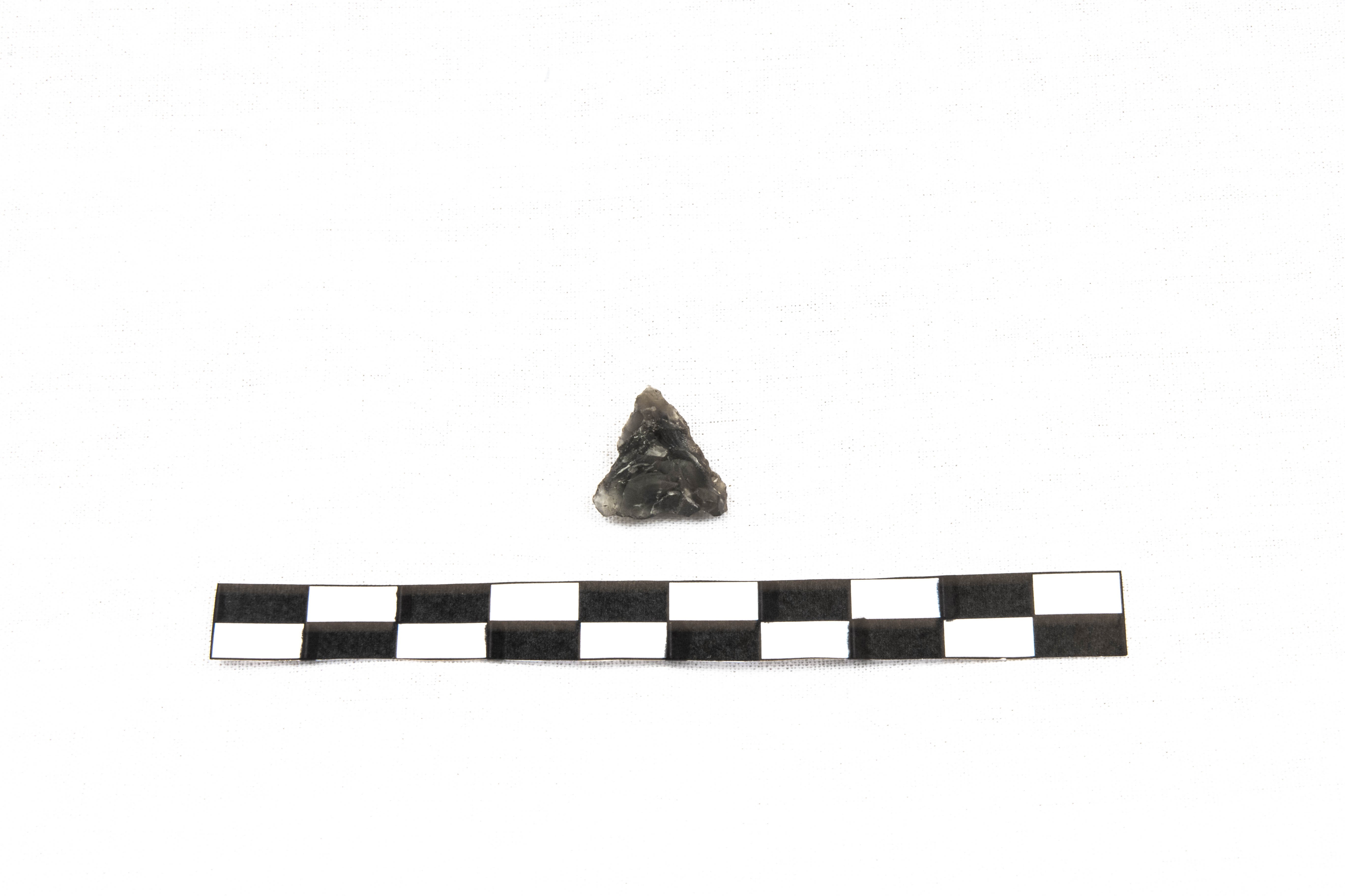 Nog een foto van  Spits