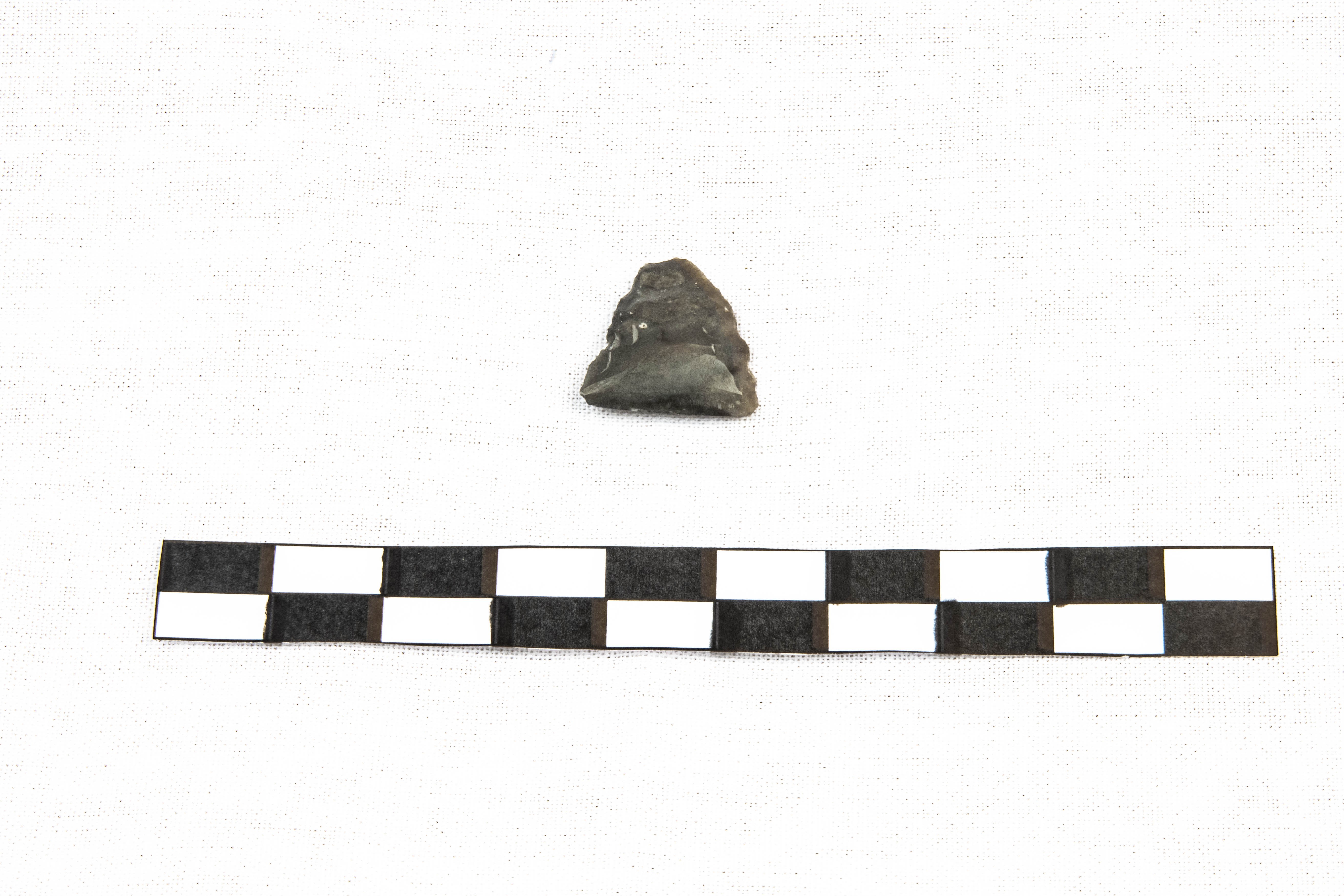 Nog een foto van  Spits