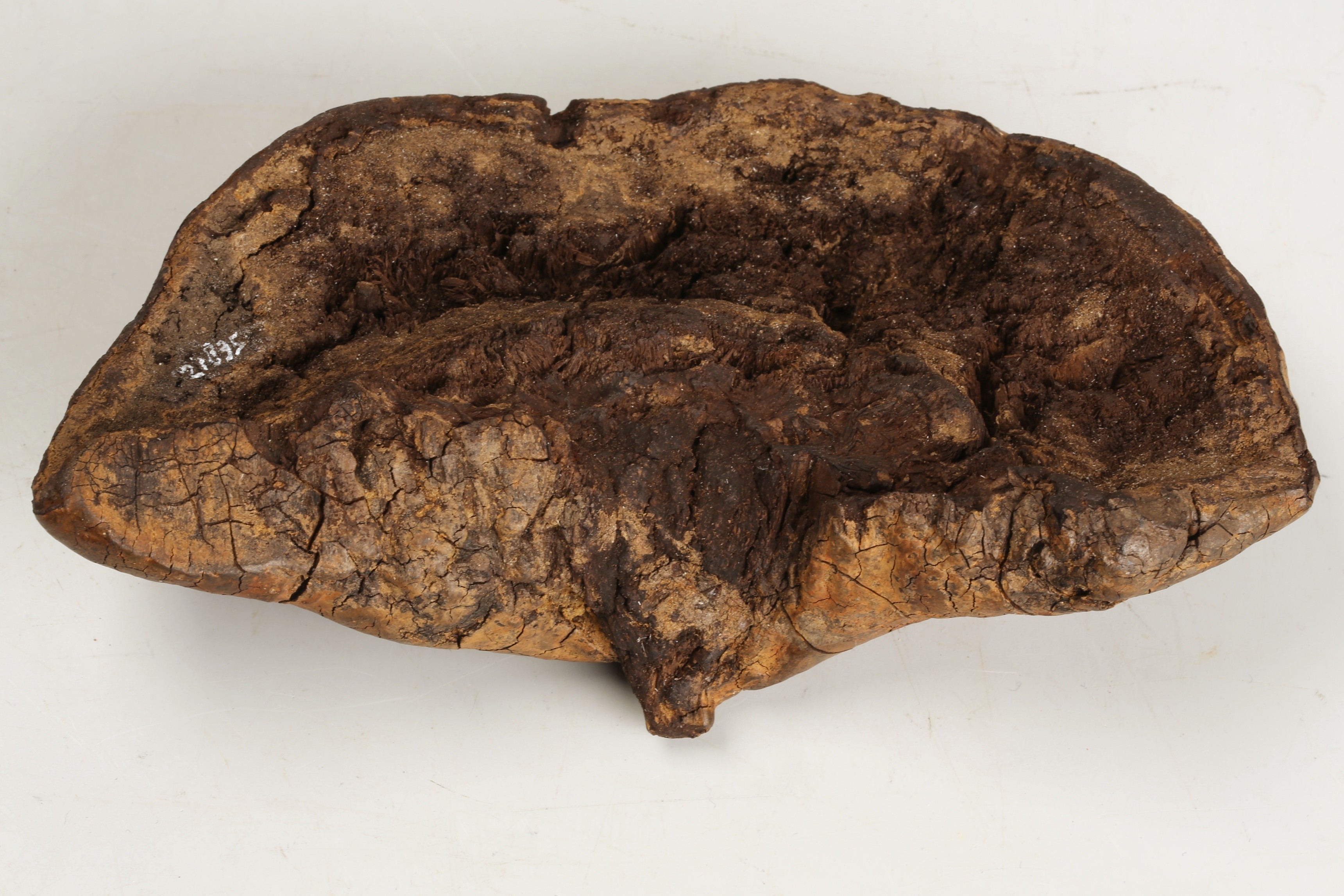 Nog een foto van  Organisch plantaardig