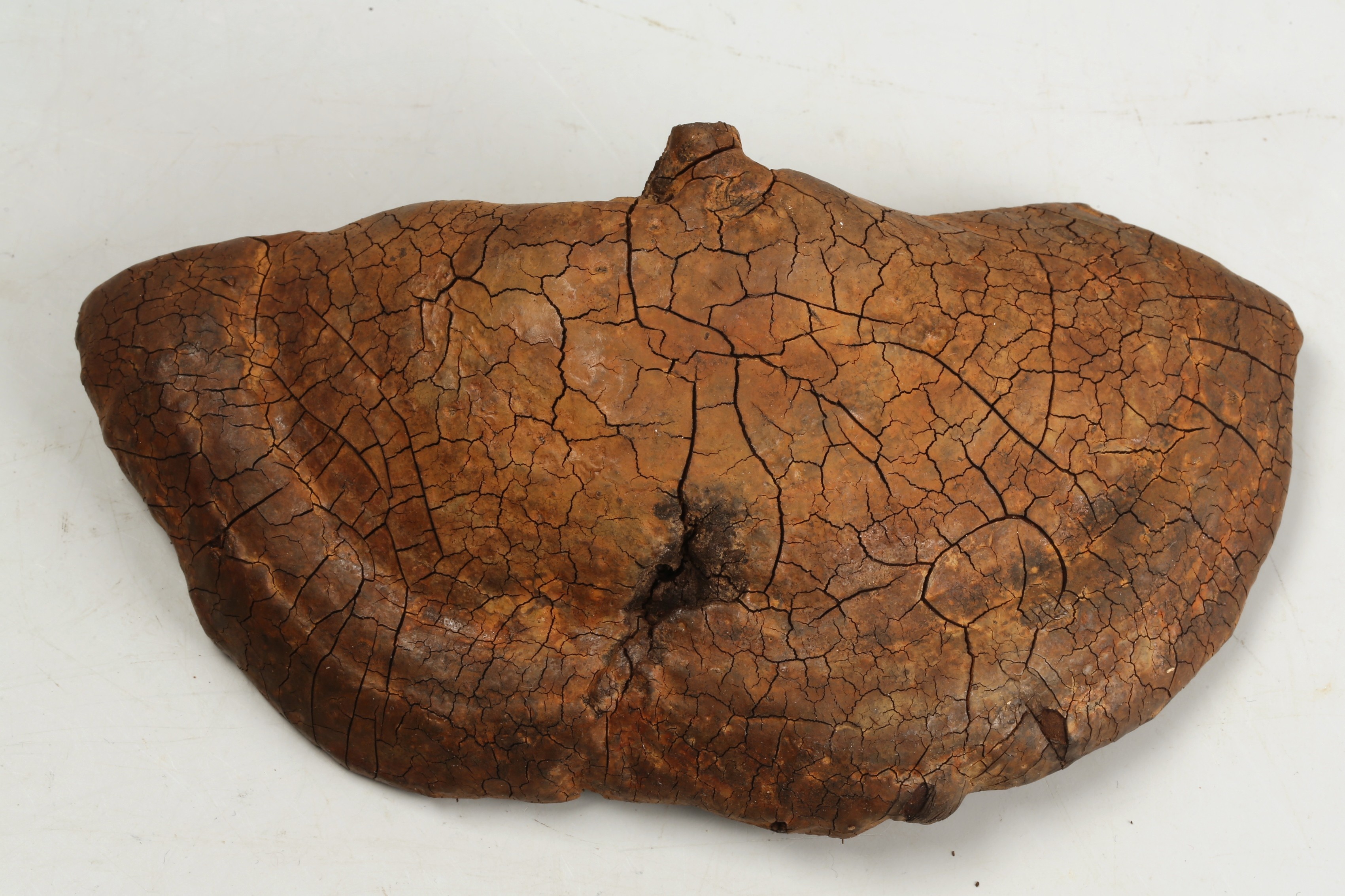 Nog een foto van  Organisch plantaardig