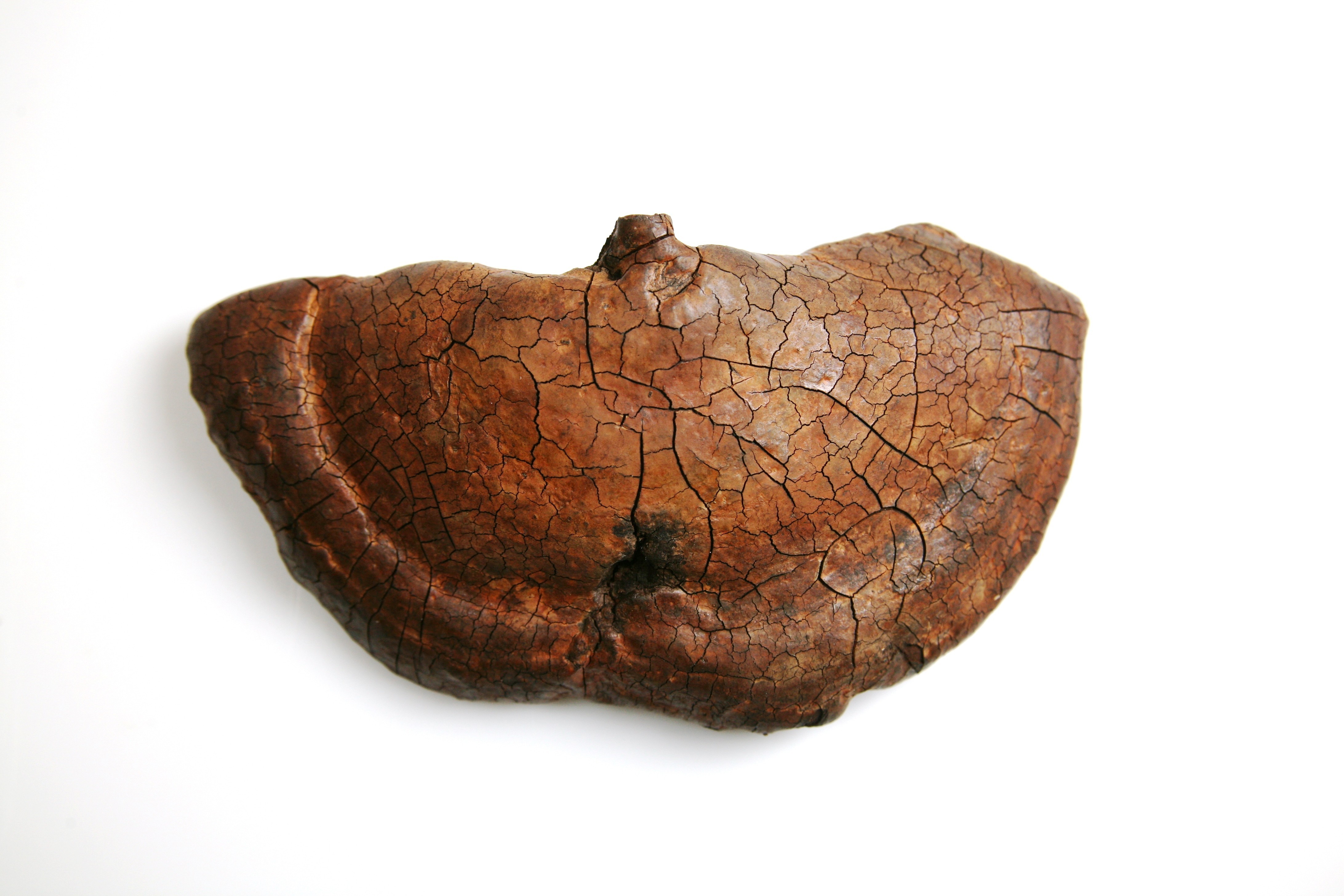 Foto van Organisch plantaardig