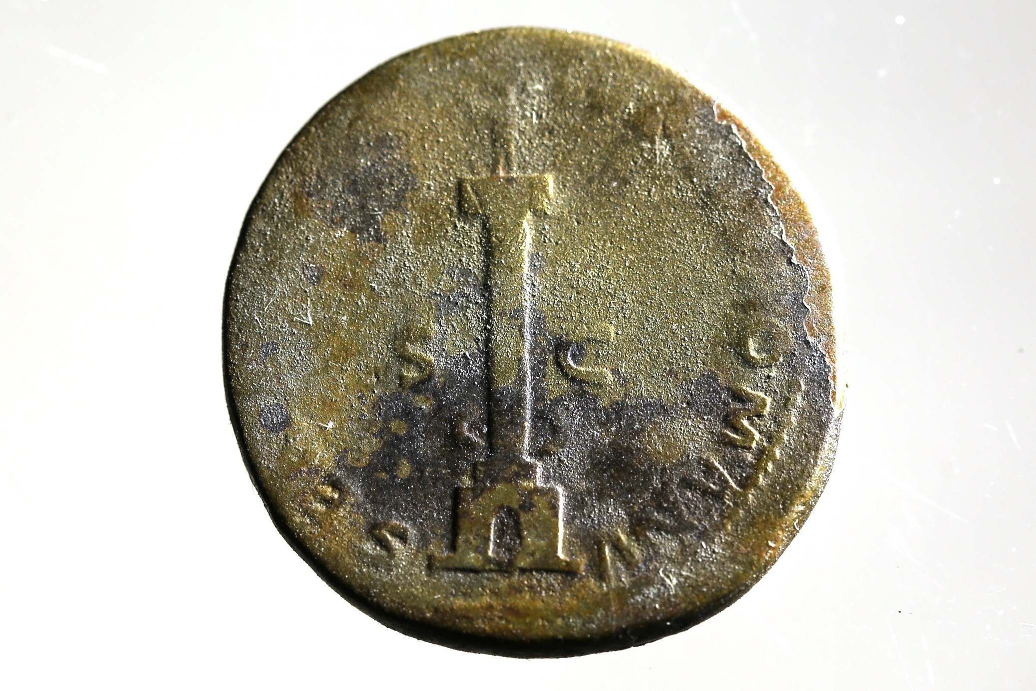 Nog een foto van  dupondius