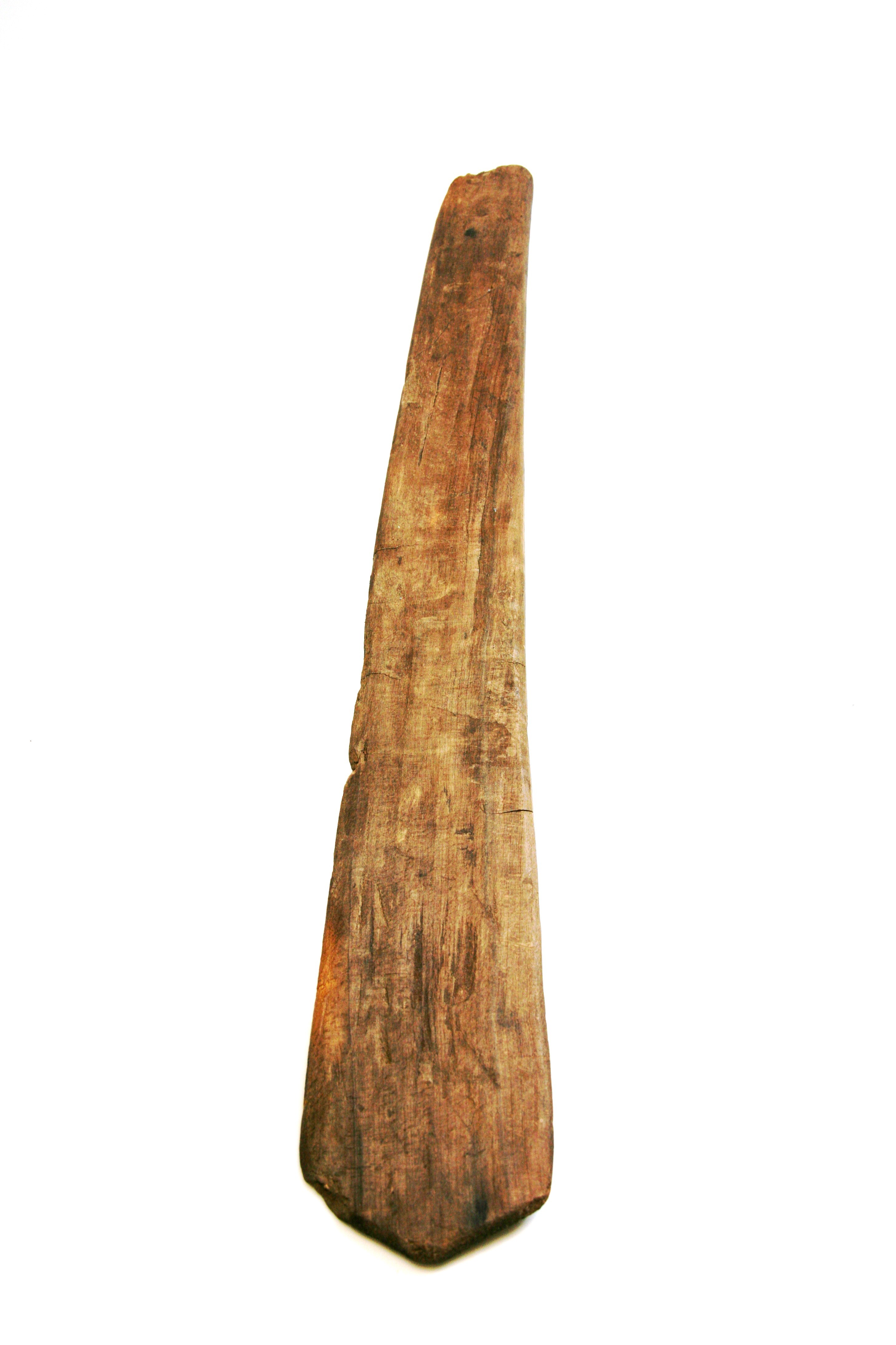 Foto van roeiriem/roeispaan