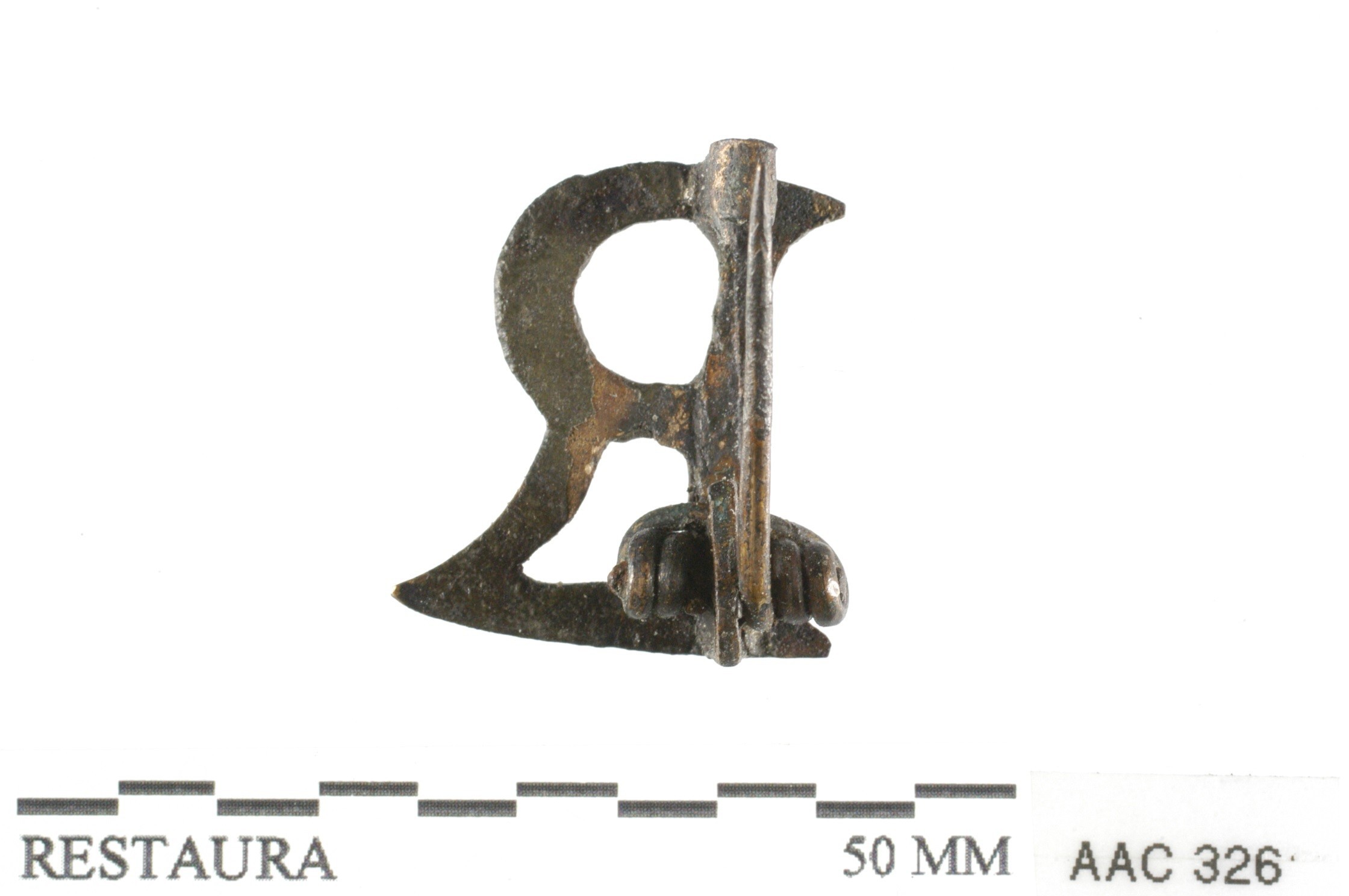 Nog een foto van  Letterfibula