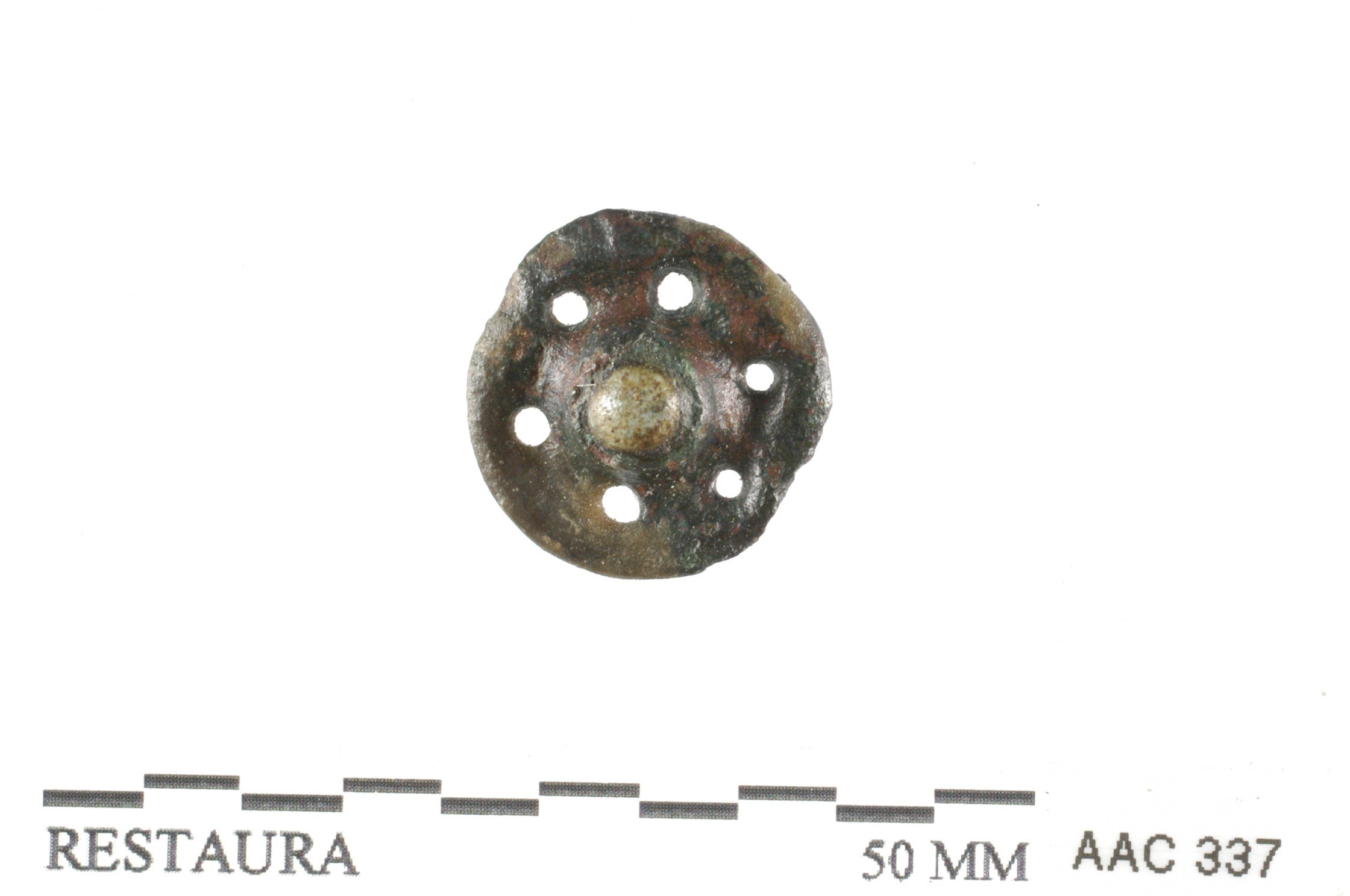 Nog een foto van  Schijffibula