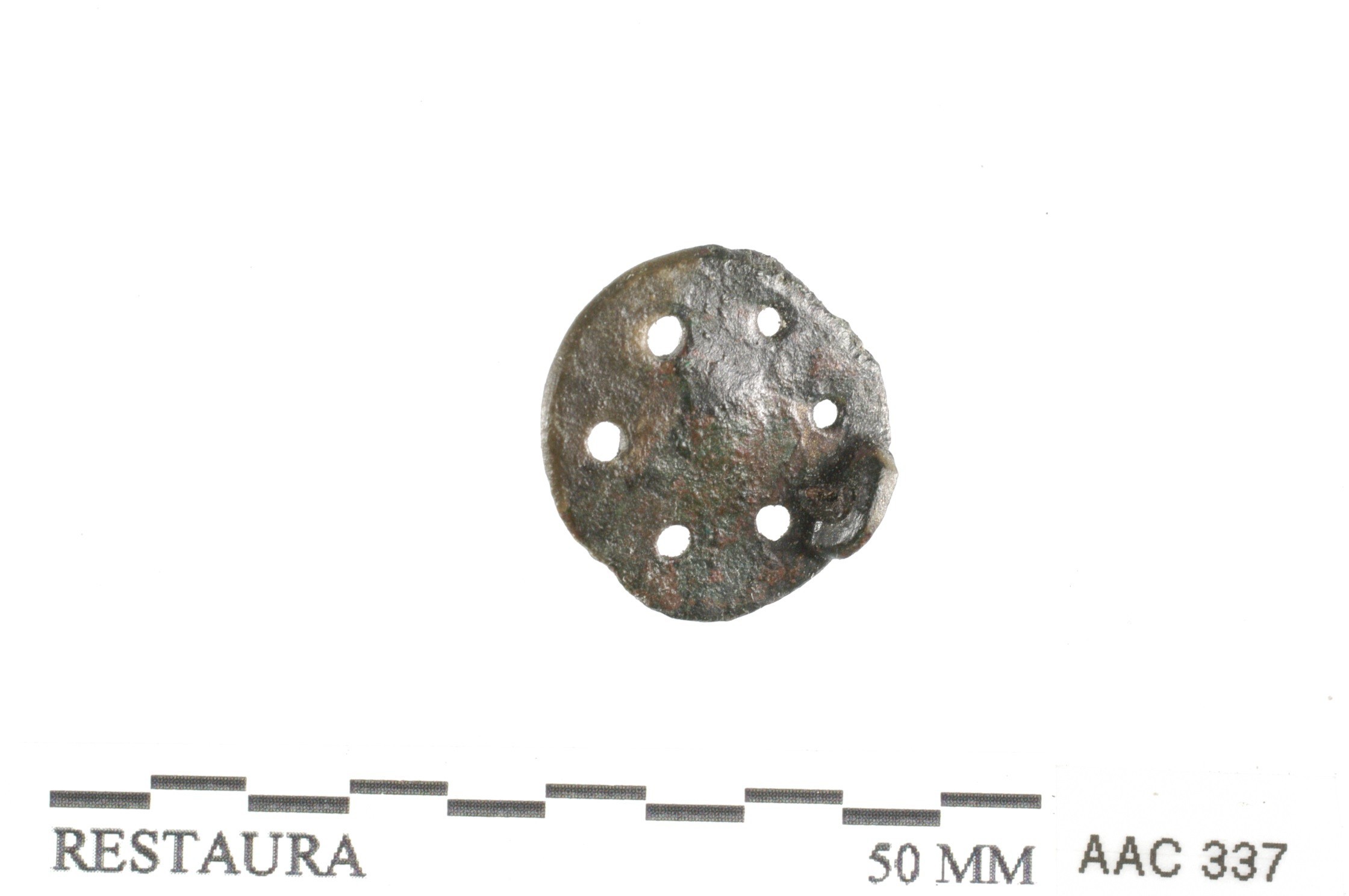 Nog een foto van  Schijffibula