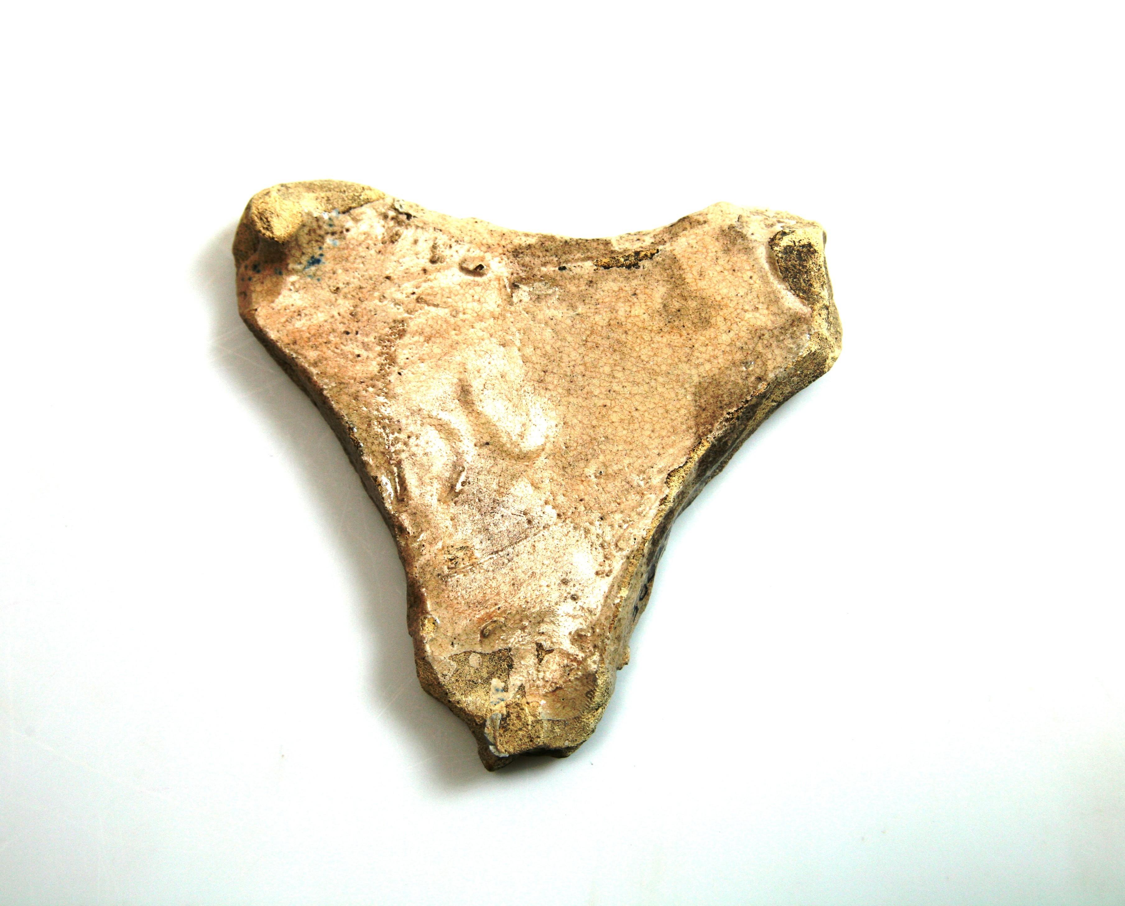 Foto van Proen (driehoekig/cilindervormig)