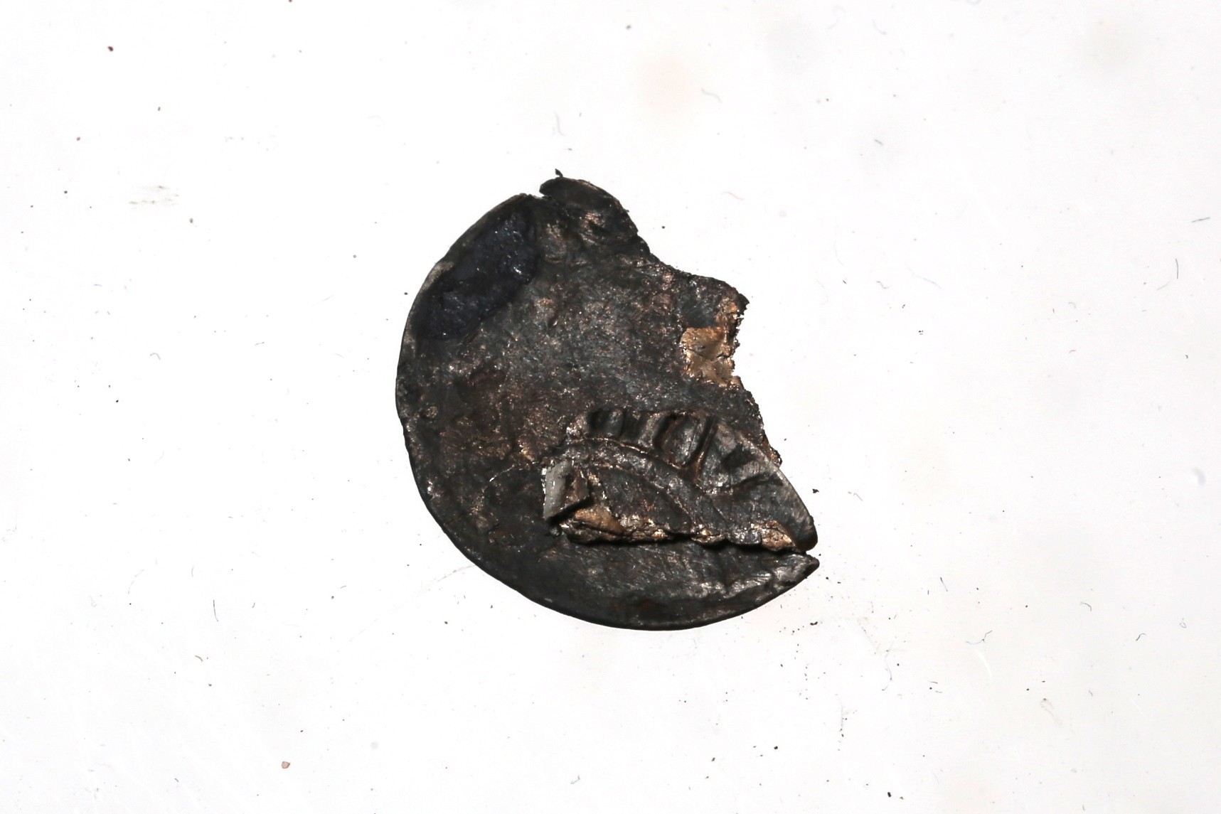 Foto van penning/penny