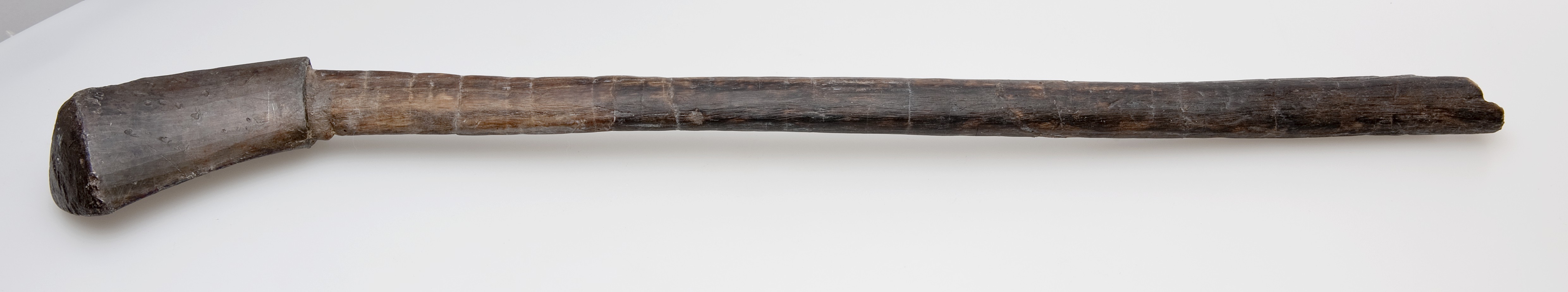 Nog een foto van  kolfslof/colfslof/golfslof/kolfschoen